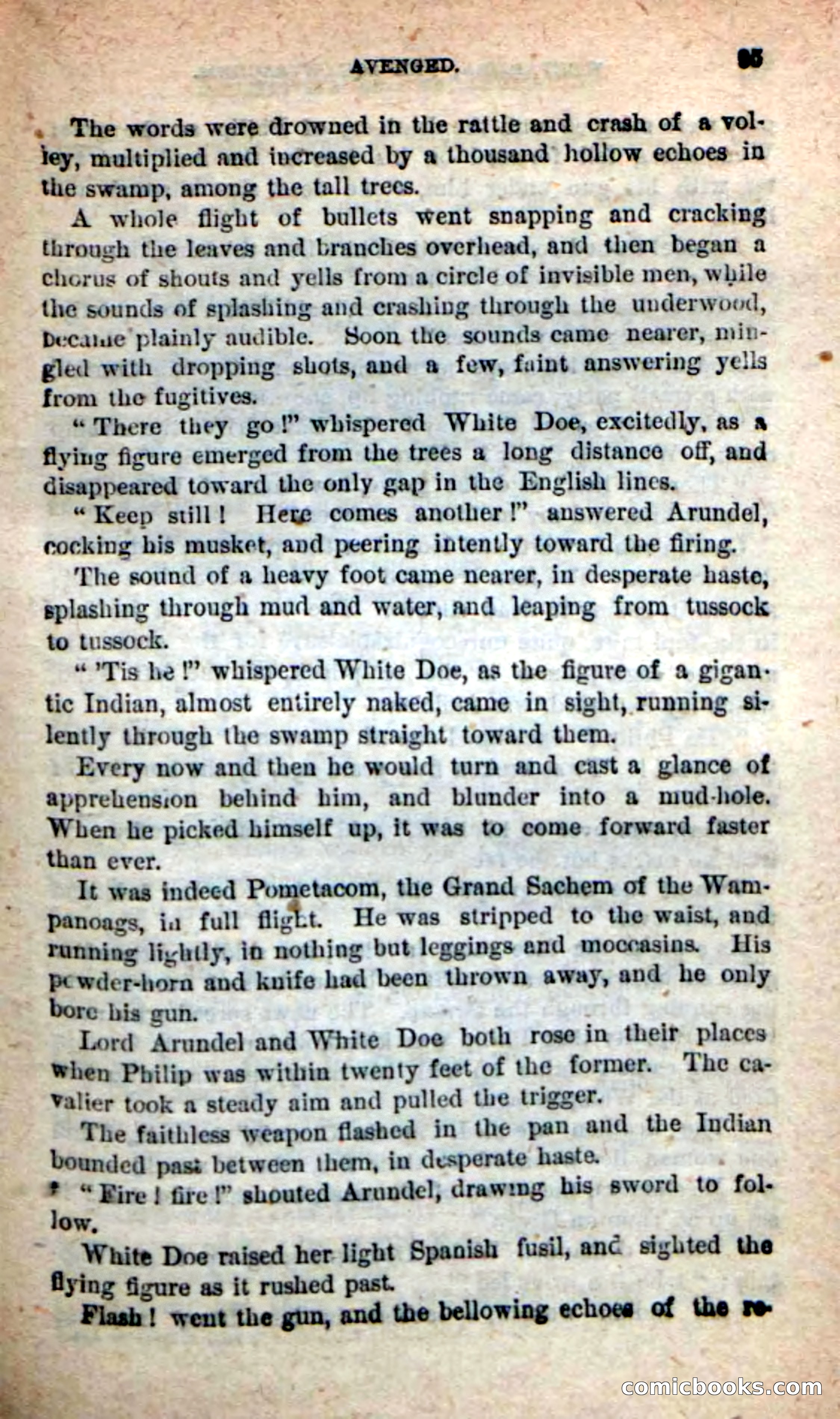 The Squaw Chief — page 91 of 100