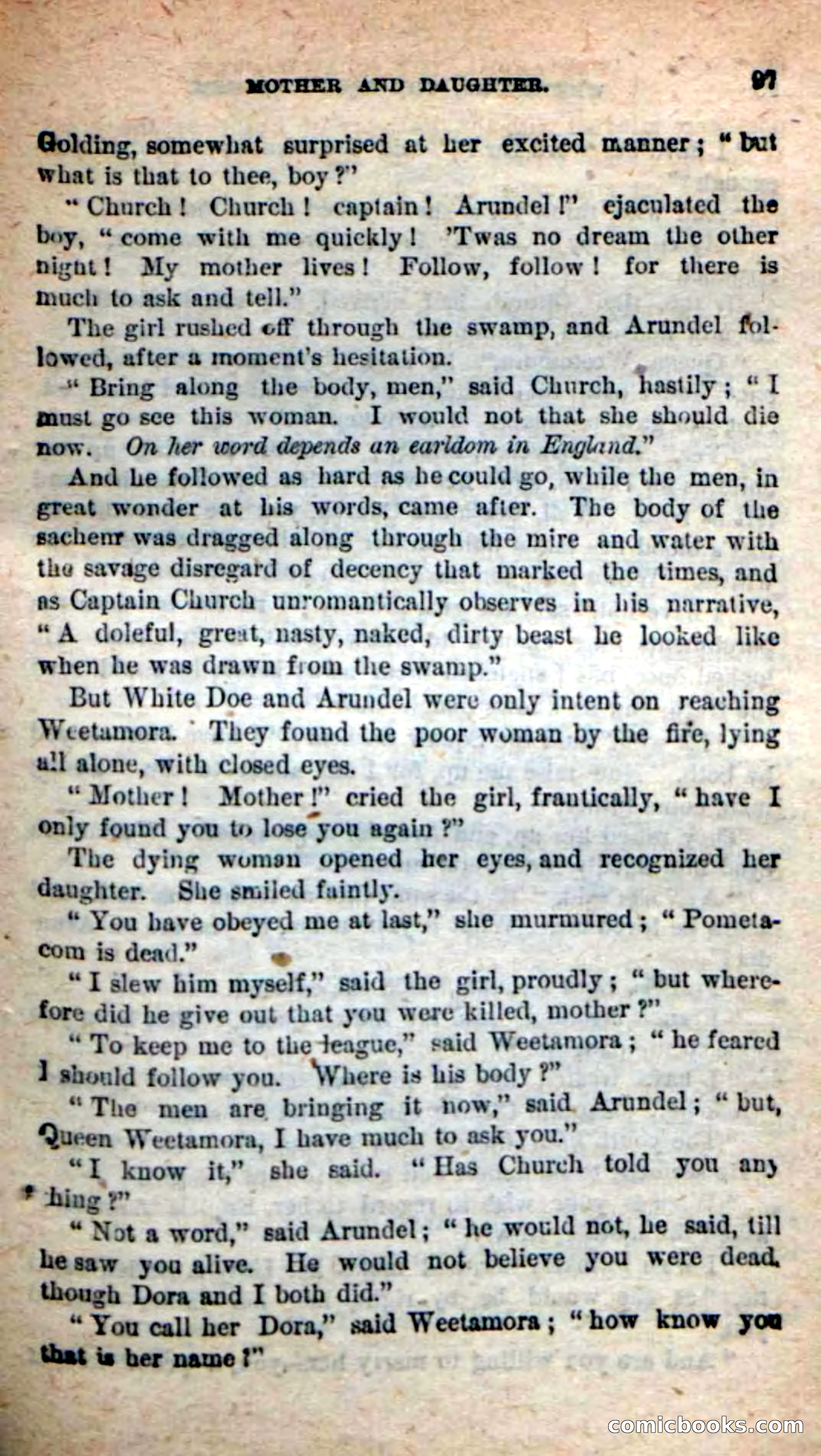 The Squaw Chief — page 93 of 100