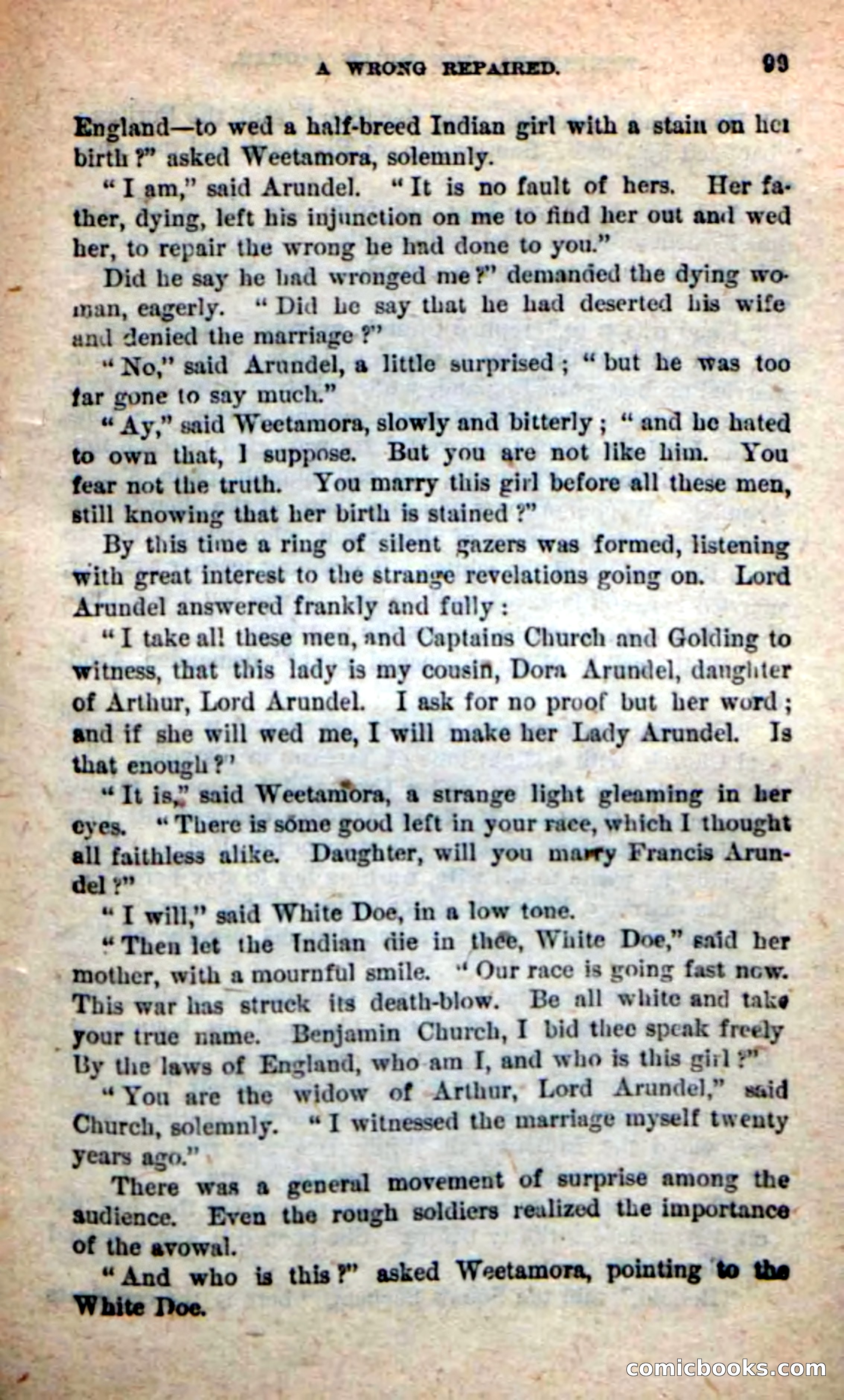 The Squaw Chief — page 95 of 100