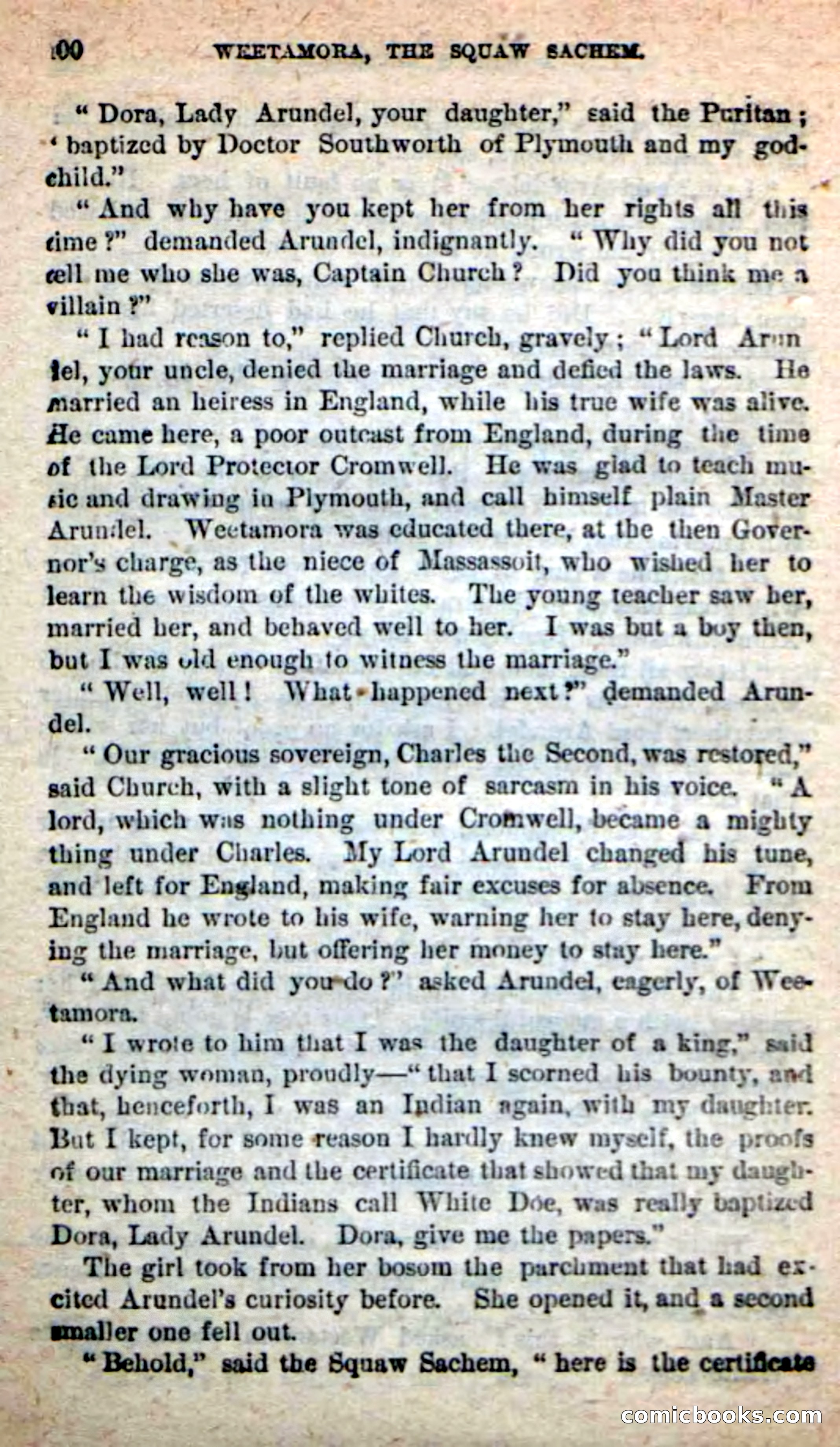 The Squaw Chief — page 96 of 100