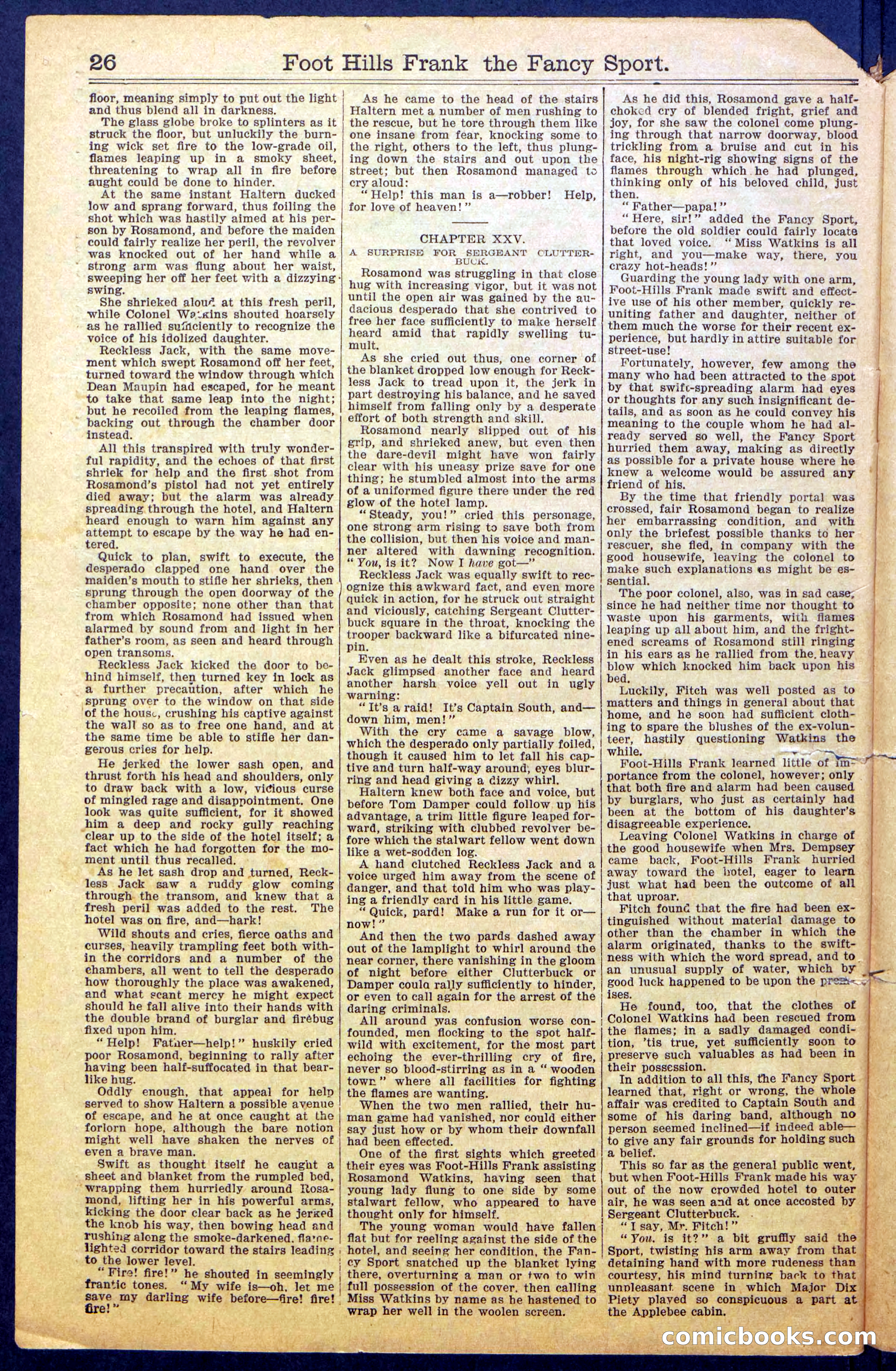 Foot-Hills Frank; or, The Rivals of the Road — page 28 of 36