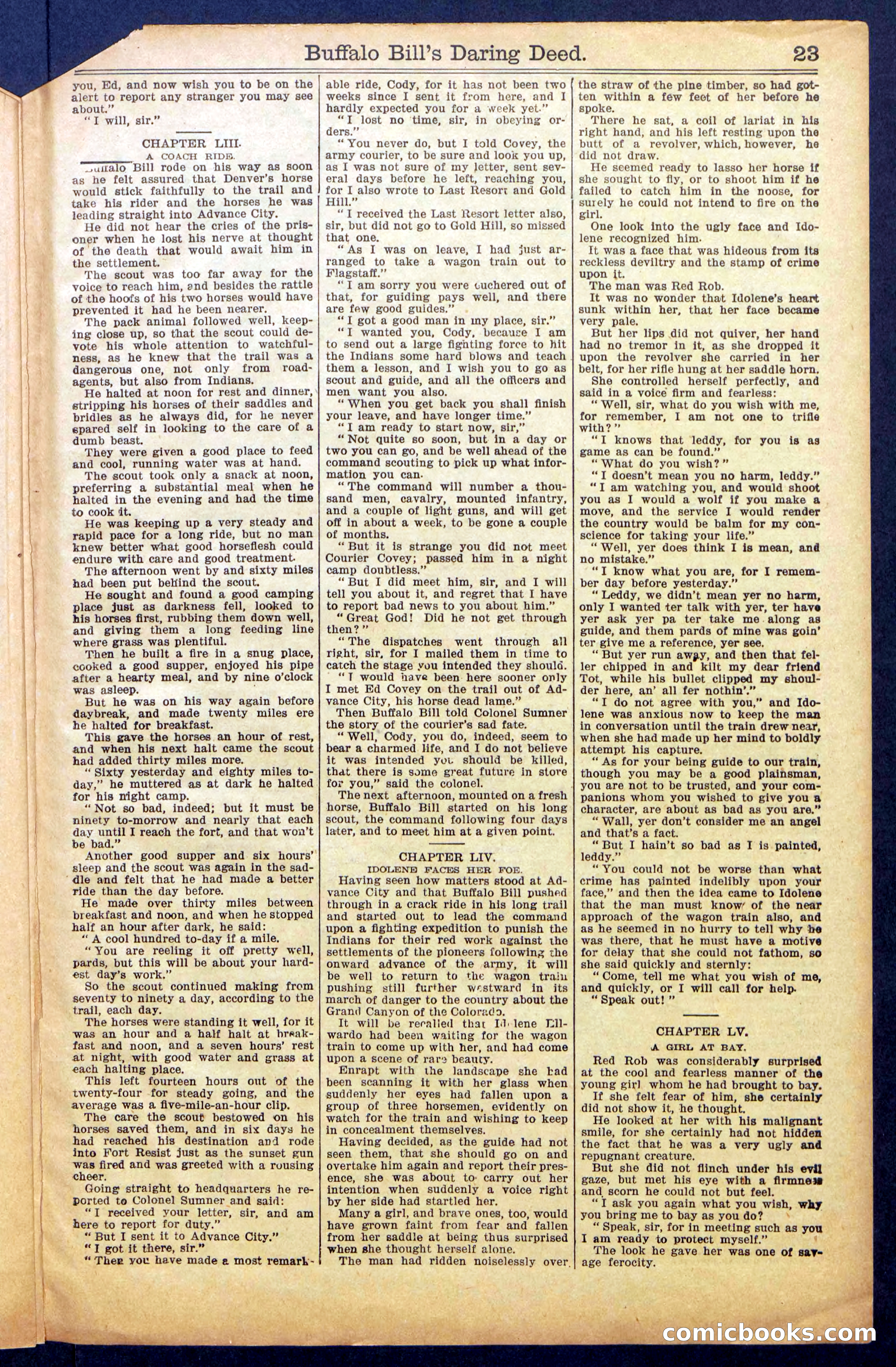 Buffalo Bill's Daring Deed; or, The Scourge of the Cold Rail — page 25 of 36