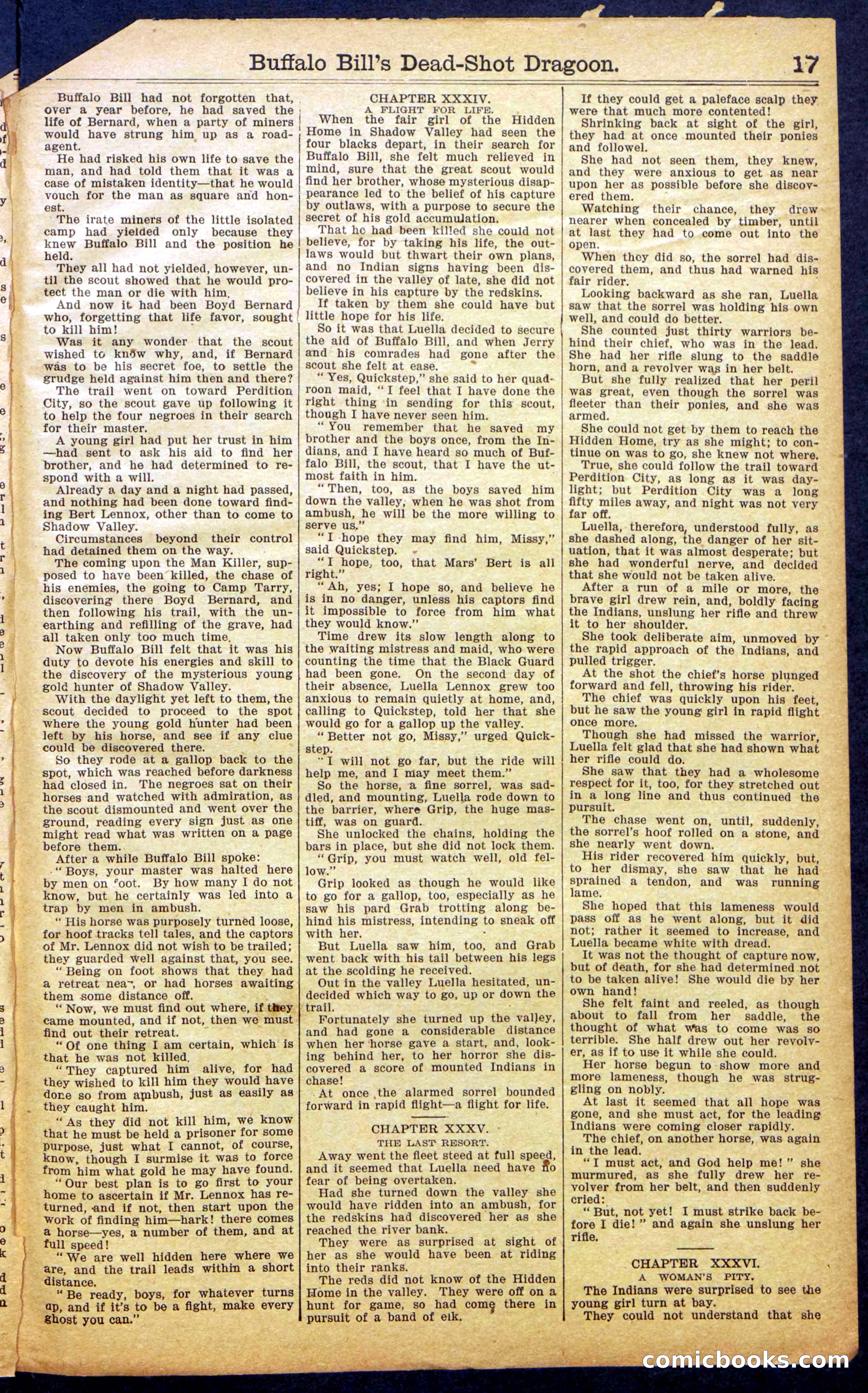 Buffalo Bill's Dead-Shot Dragoon — page 19 of 36