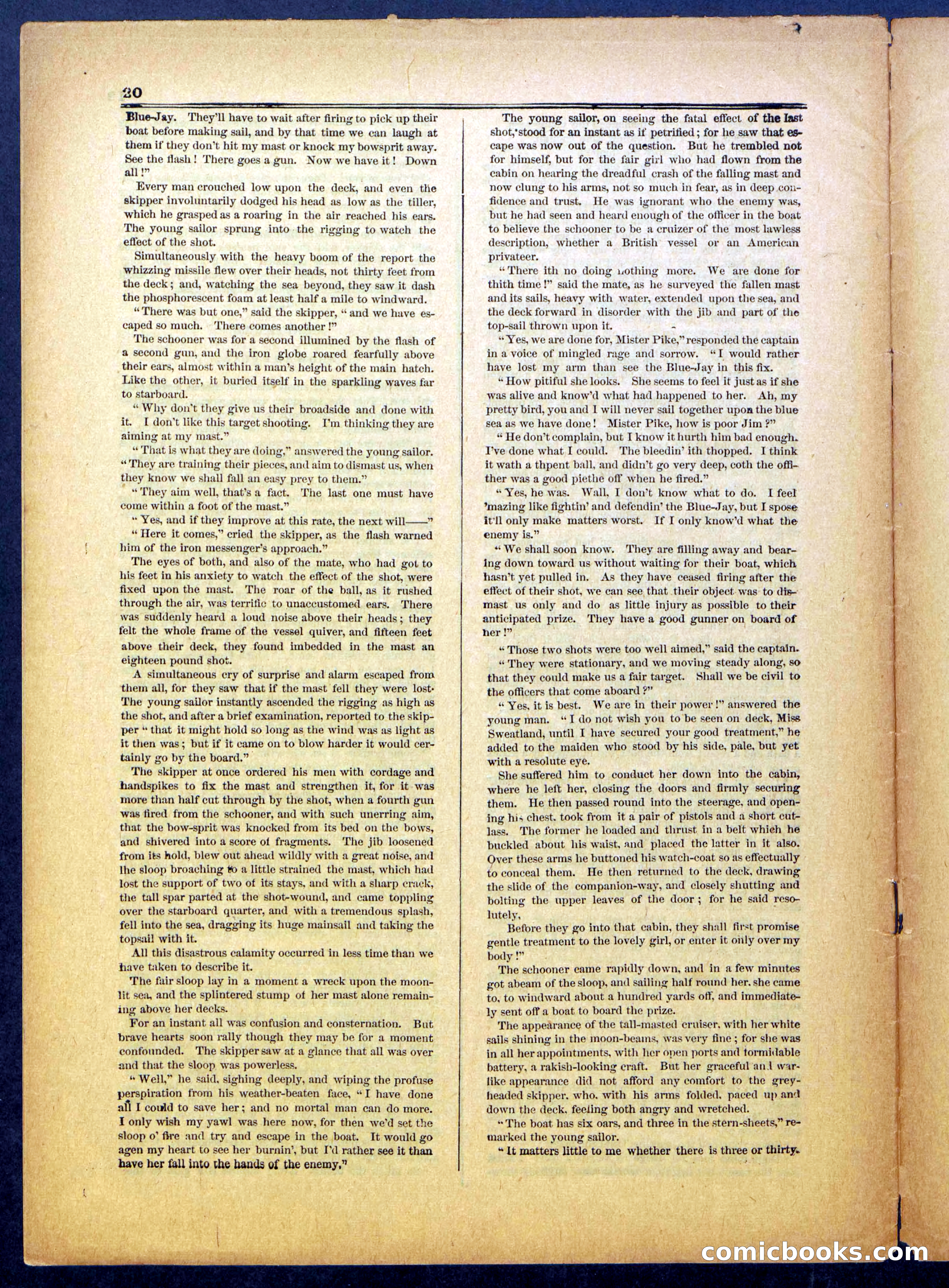 The Hunted Sloop; or, On and Off Soundings — page 20 of 24