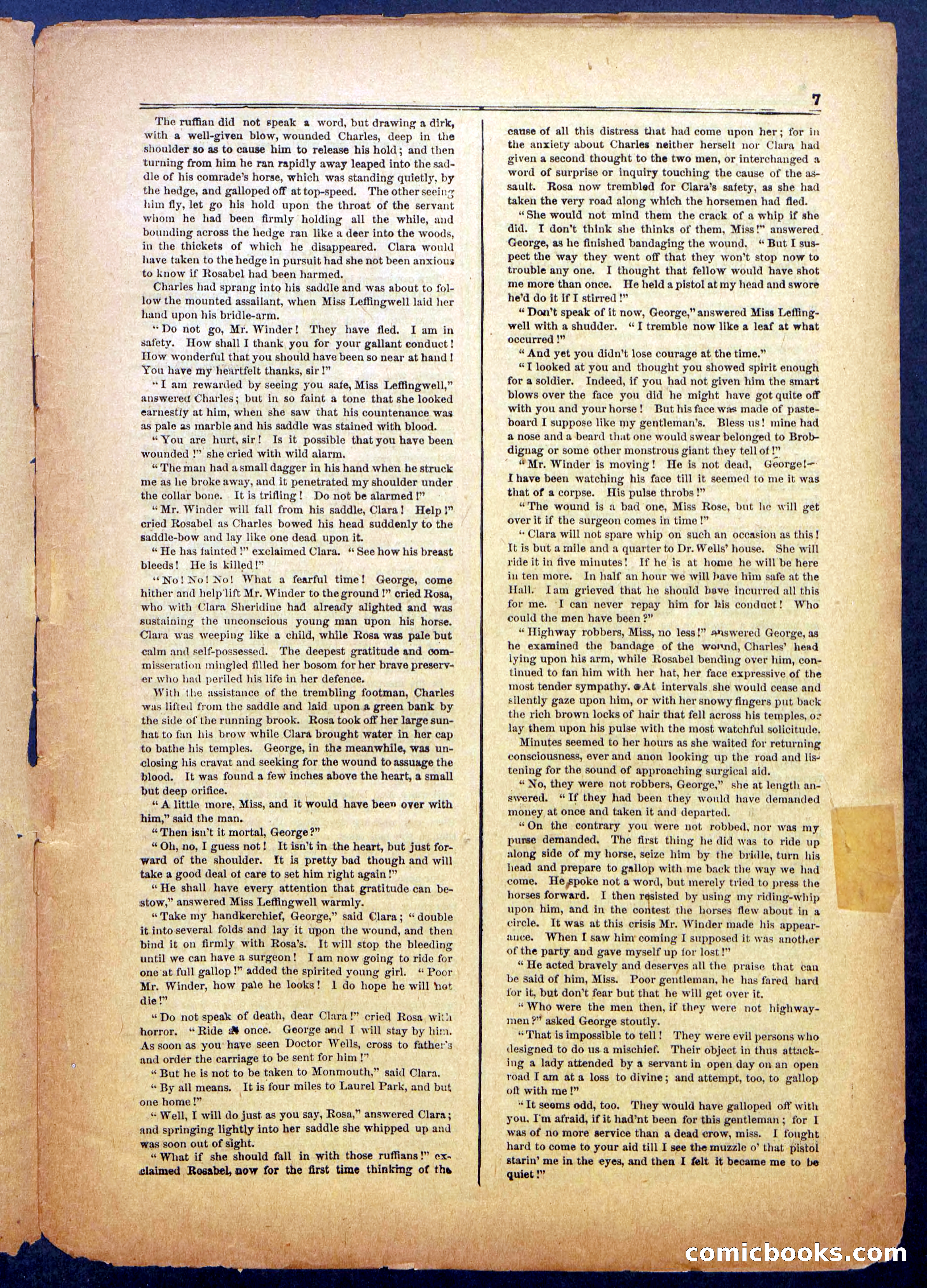 The Steel Mask; or, Mystery of the Flying Cloud — page 7 of 24