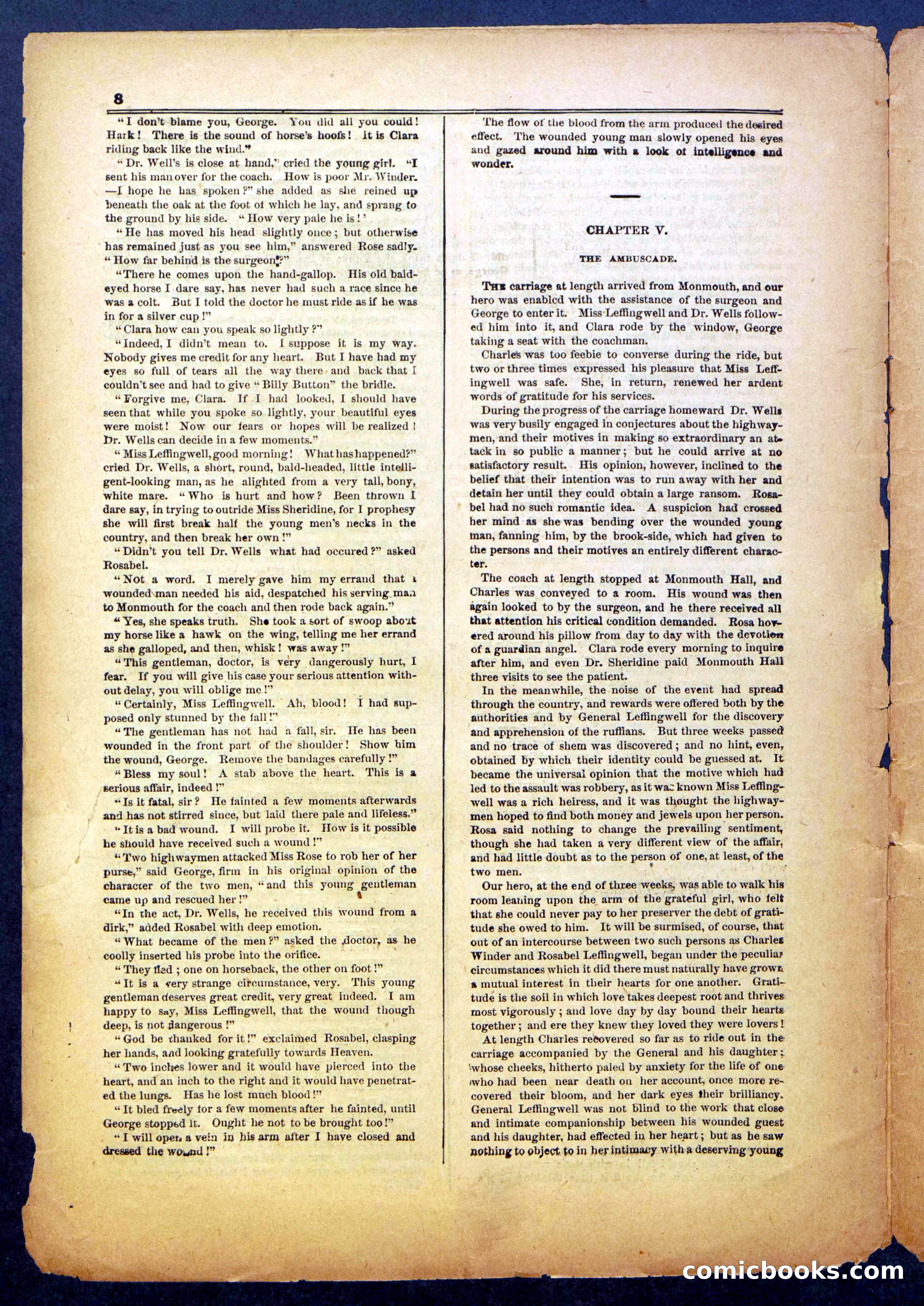 The Steel Mask; or, Mystery of the Flying Cloud — page 8 of 24