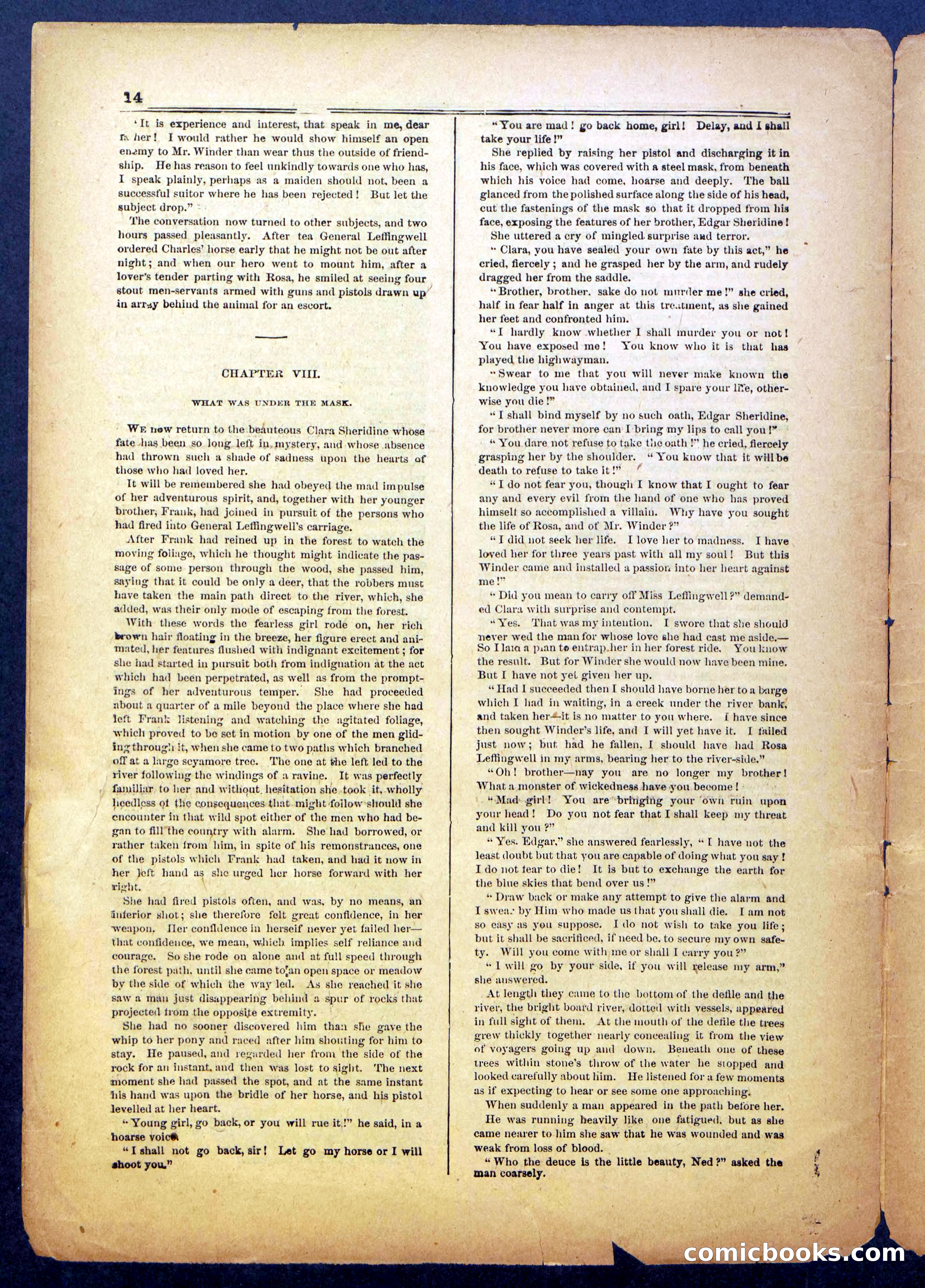 The Steel Mask; or, Mystery of the Flying Cloud — page 14 of 24