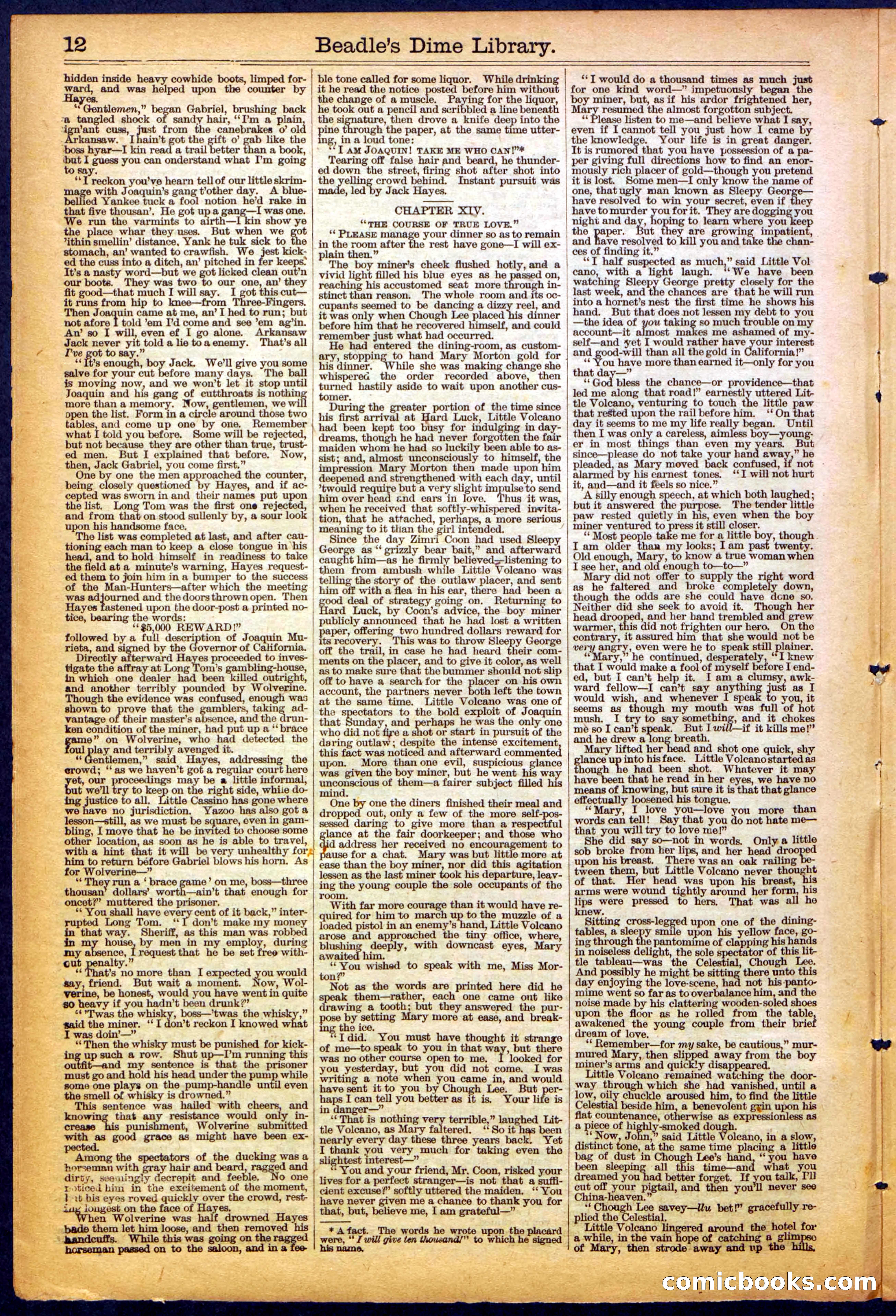 The New York Dime Library, No. 1040 (September 1900) — page 12 of 32