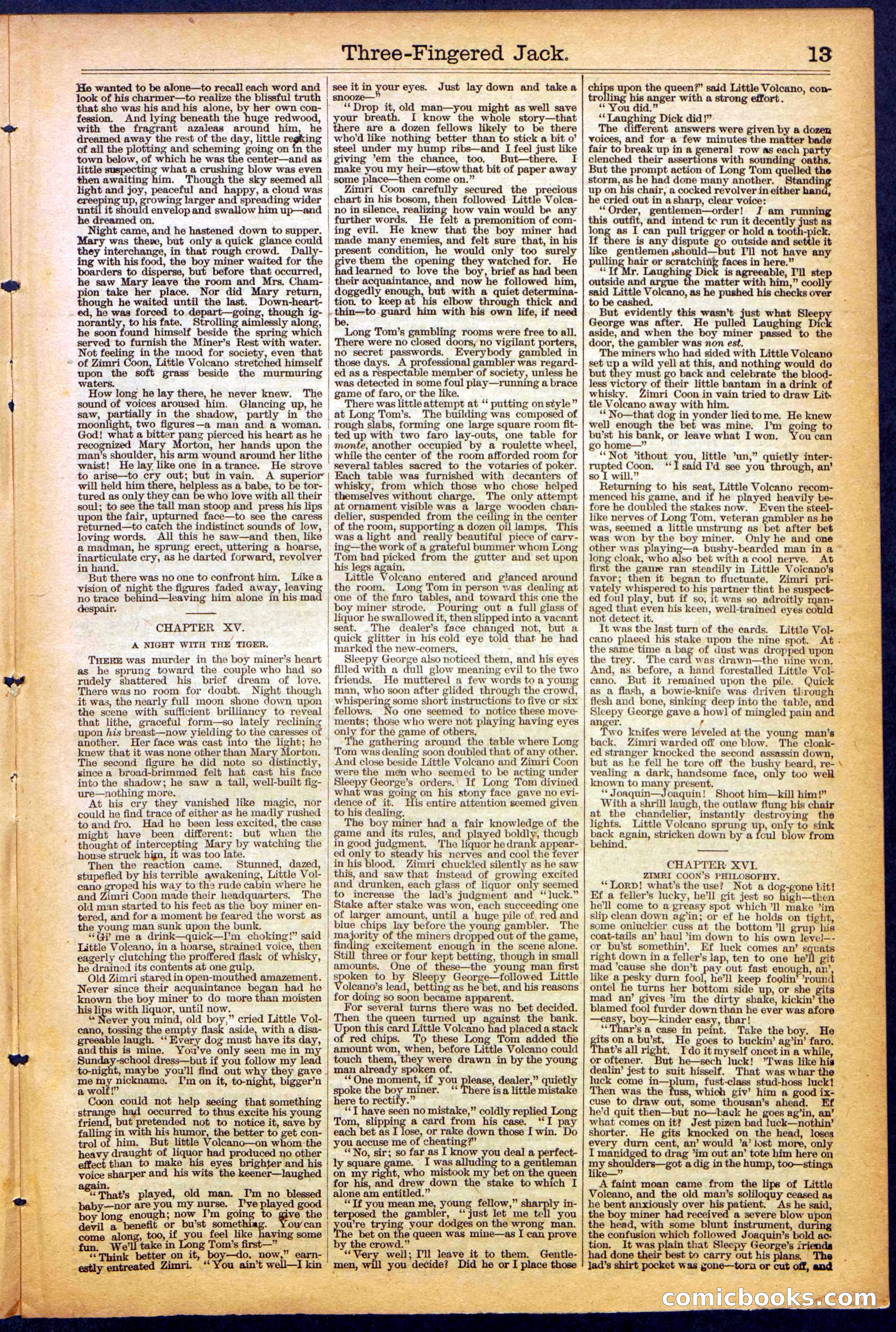 The New York Dime Library, No. 1040 (September 1900) — page 13 of 32