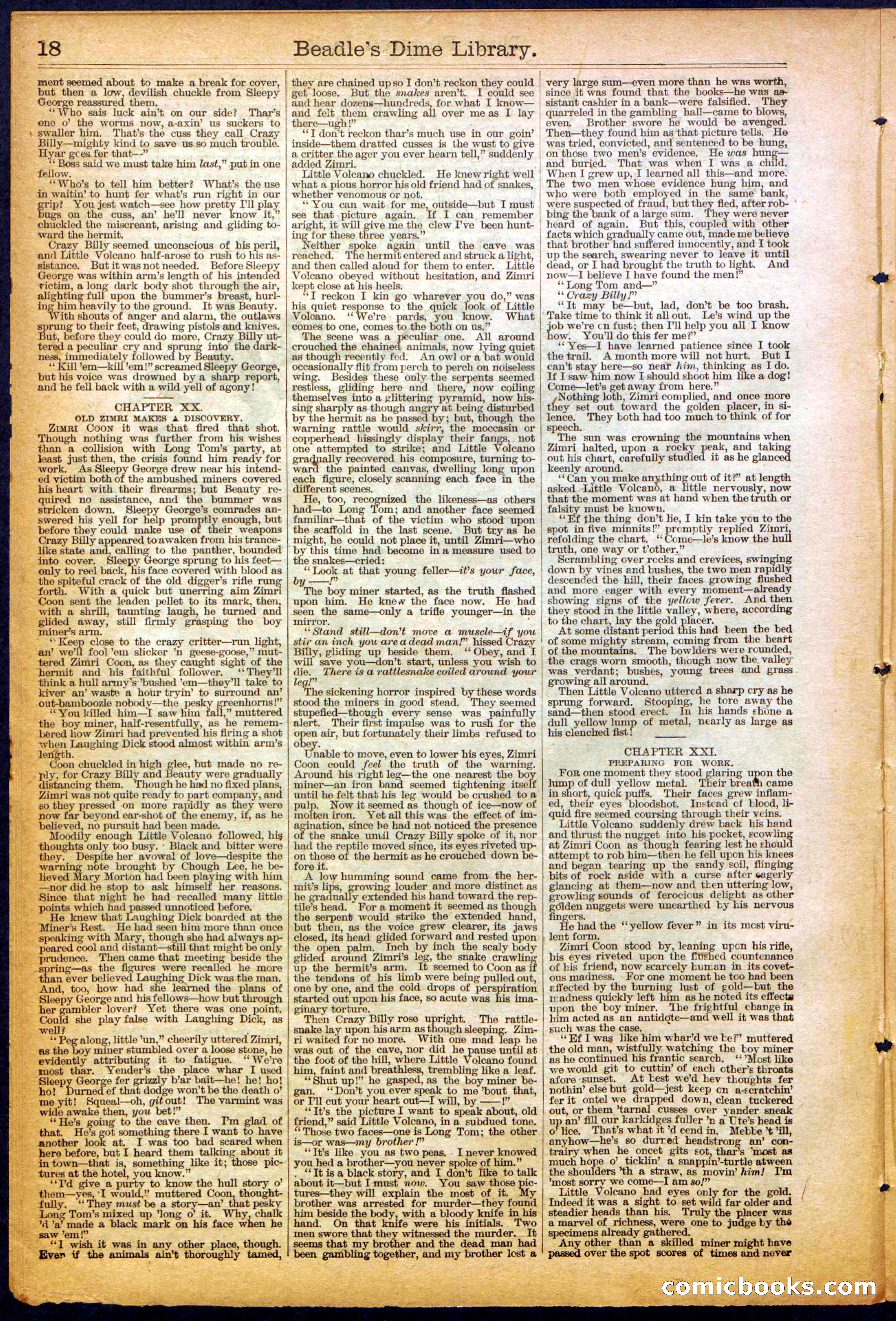 The New York Dime Library, No. 1040 (September 1900) — page 18 of 32