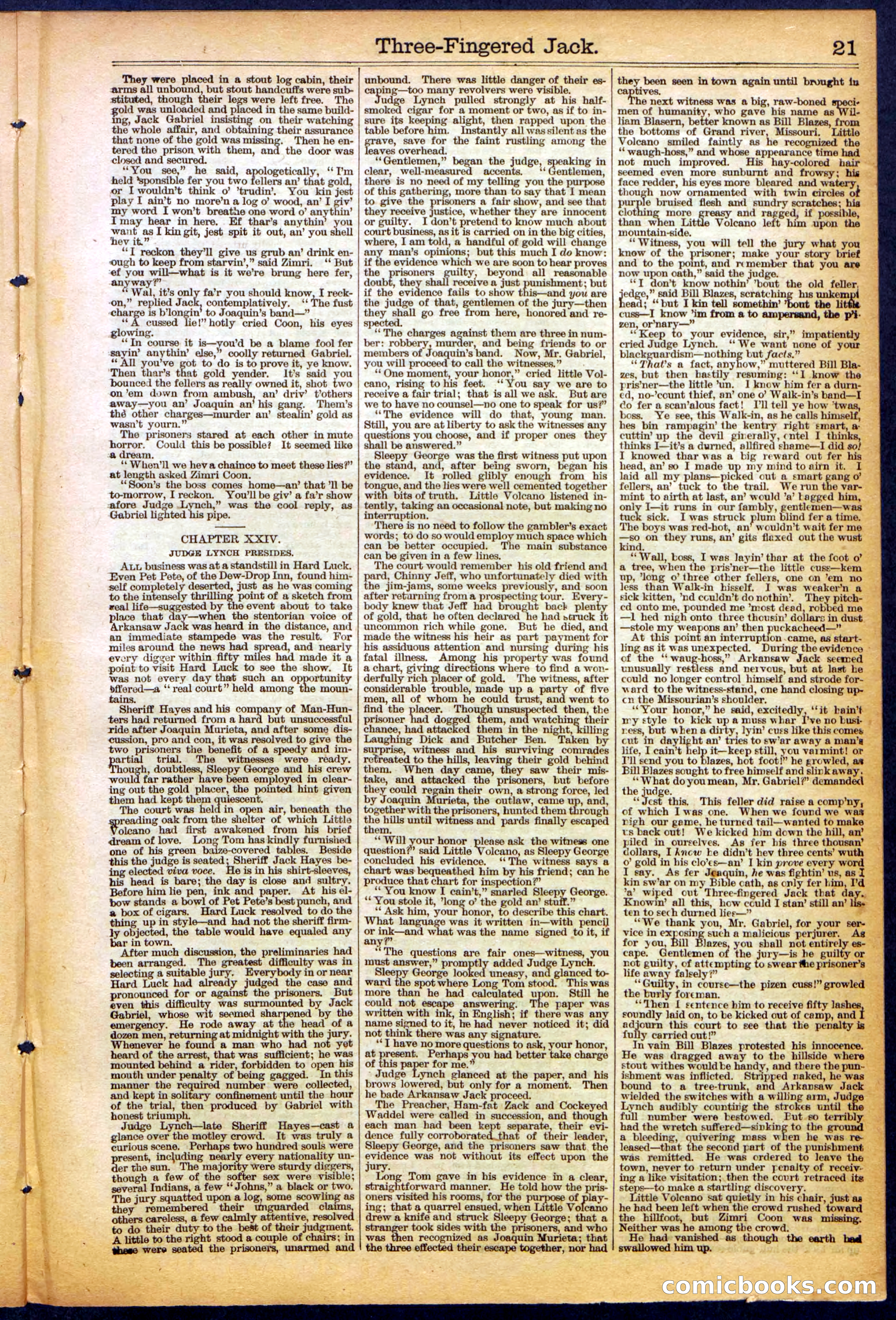 The New York Dime Library, No. 1040 (September 1900) — page 21 of 32
