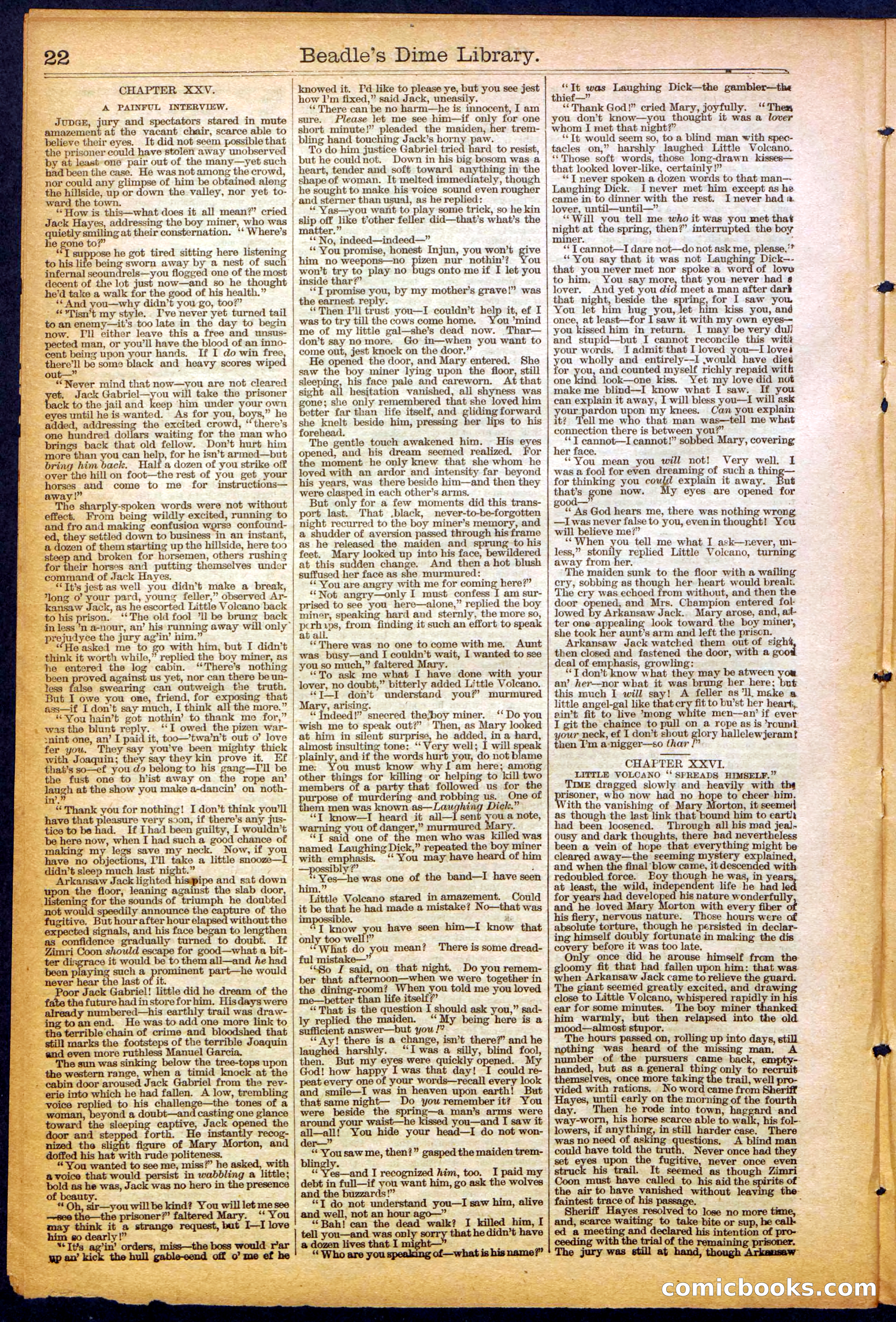 The New York Dime Library, No. 1040 (September 1900) — page 22 of 32