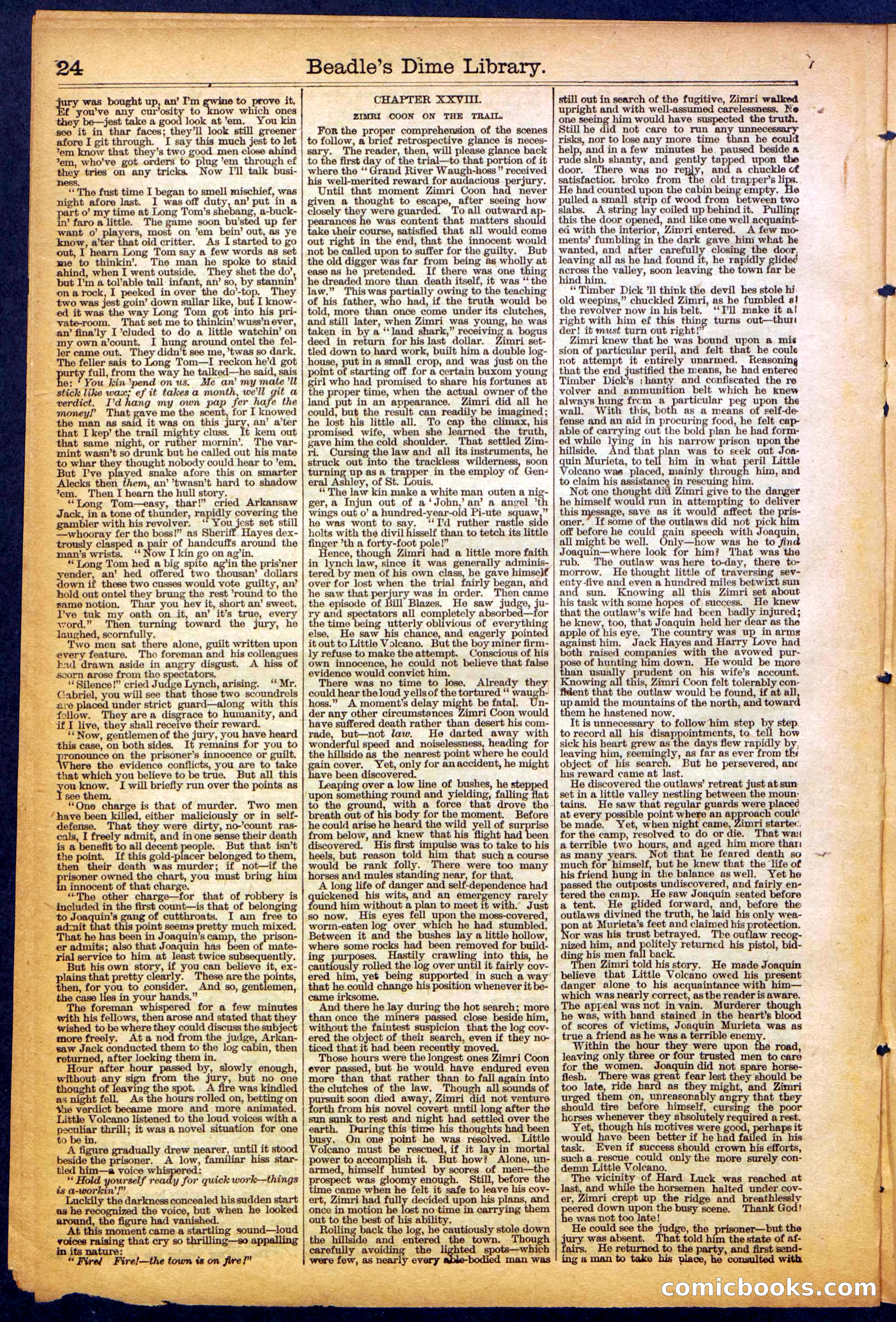 The New York Dime Library, No. 1040 (September 1900) — page 24 of 32