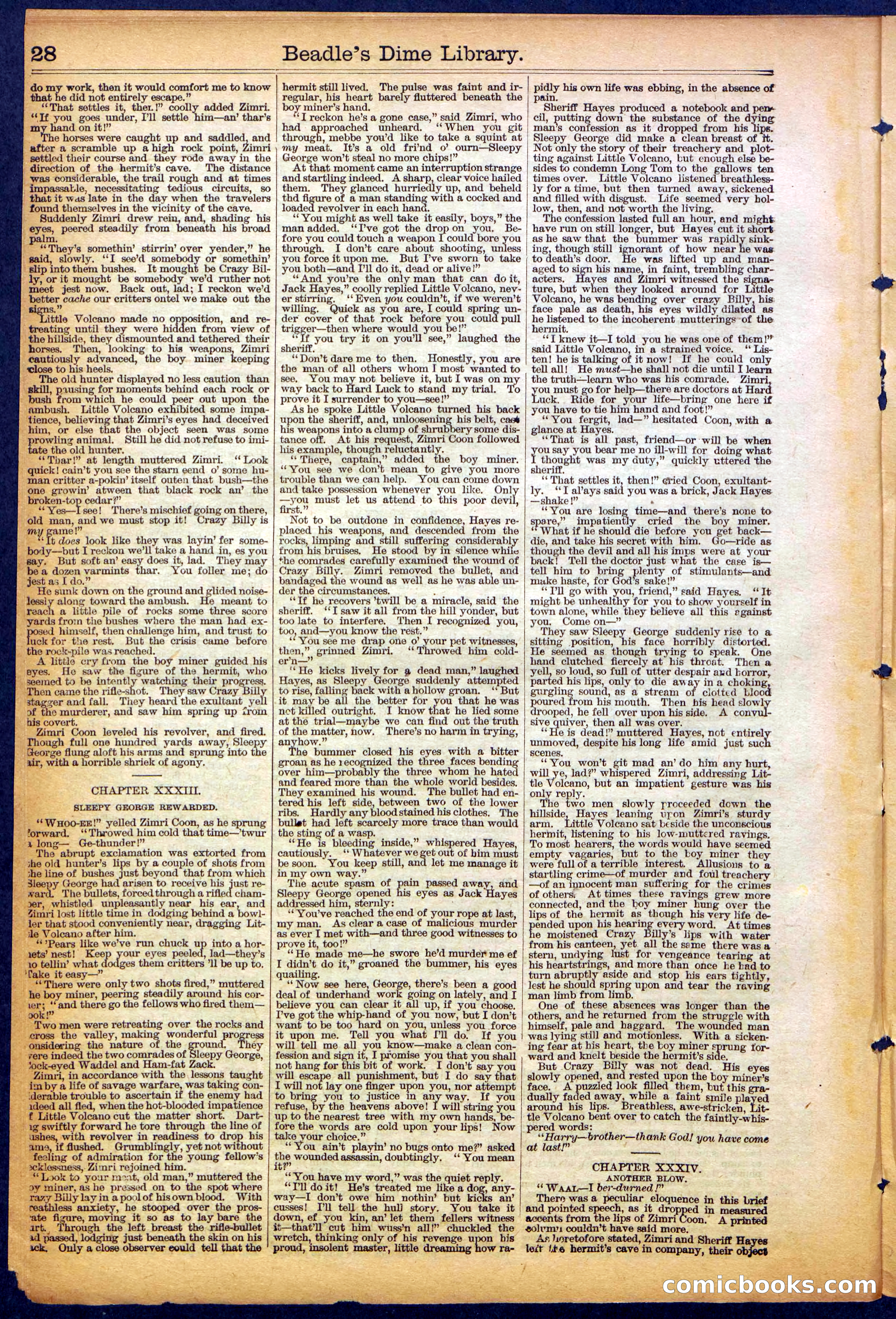 The New York Dime Library, No. 1040 (September 1900) — page 28 of 32
