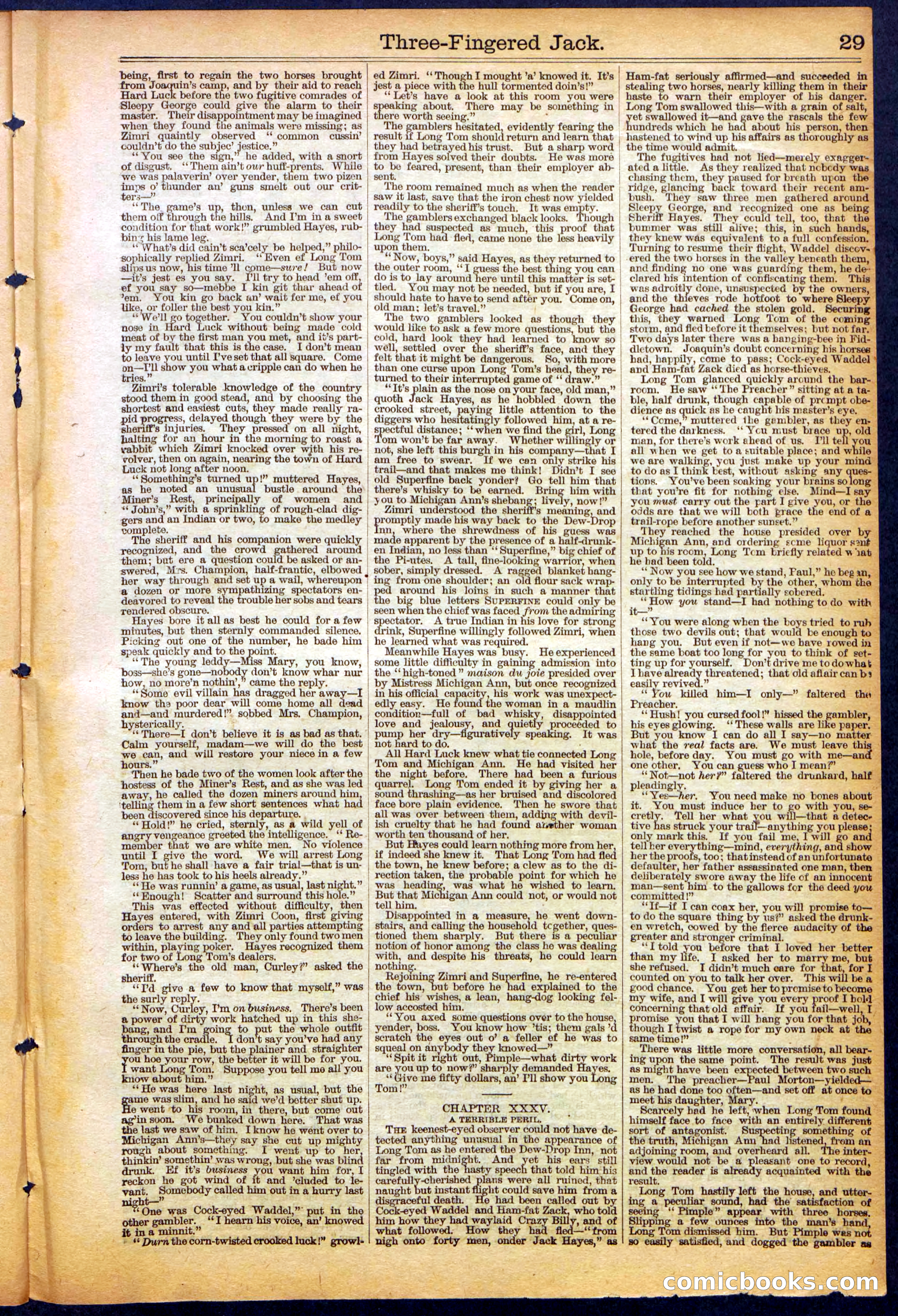 The New York Dime Library, No. 1040 (September 1900) — page 29 of 32