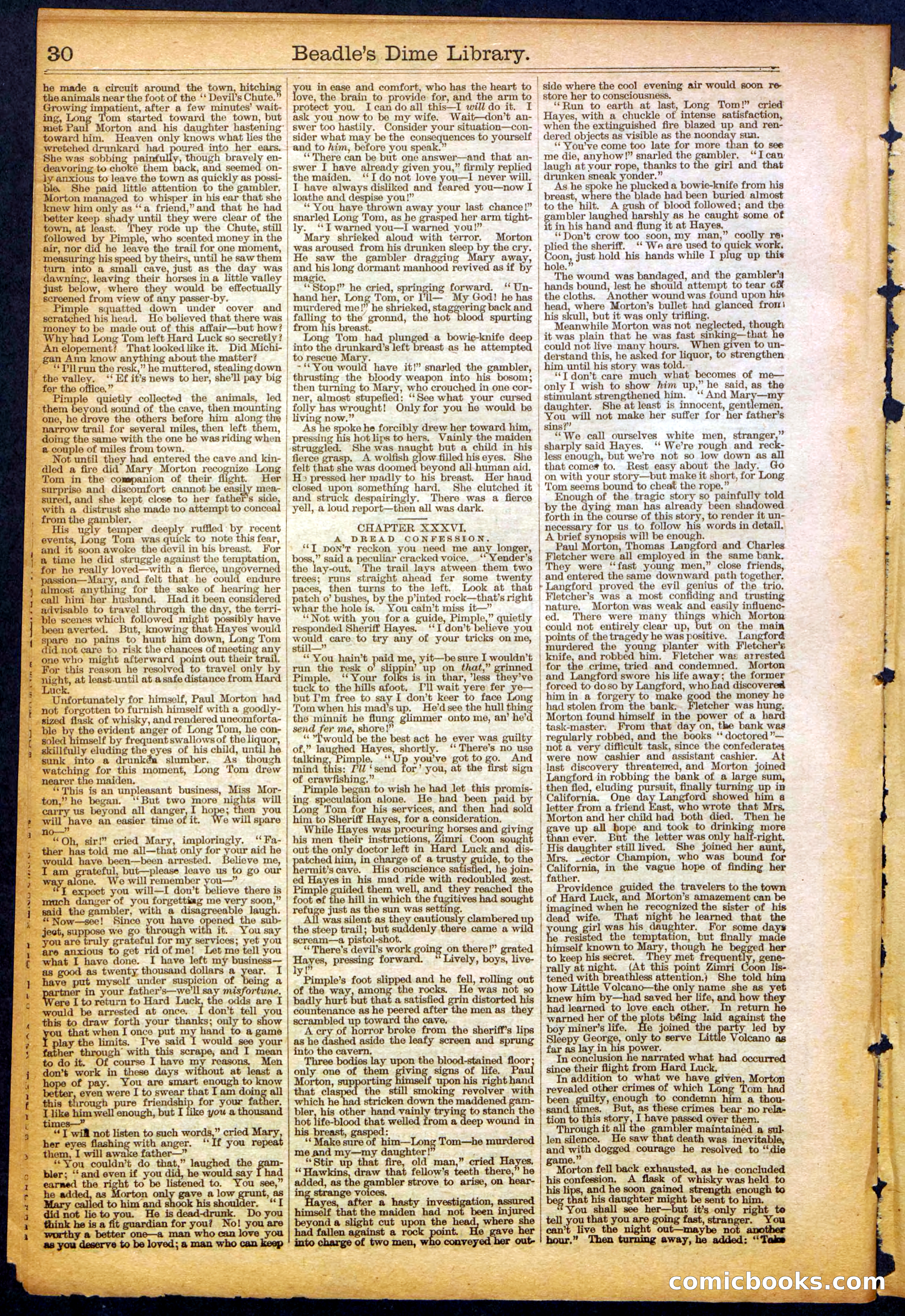 The New York Dime Library, No. 1040 (September 1900) — page 30 of 32