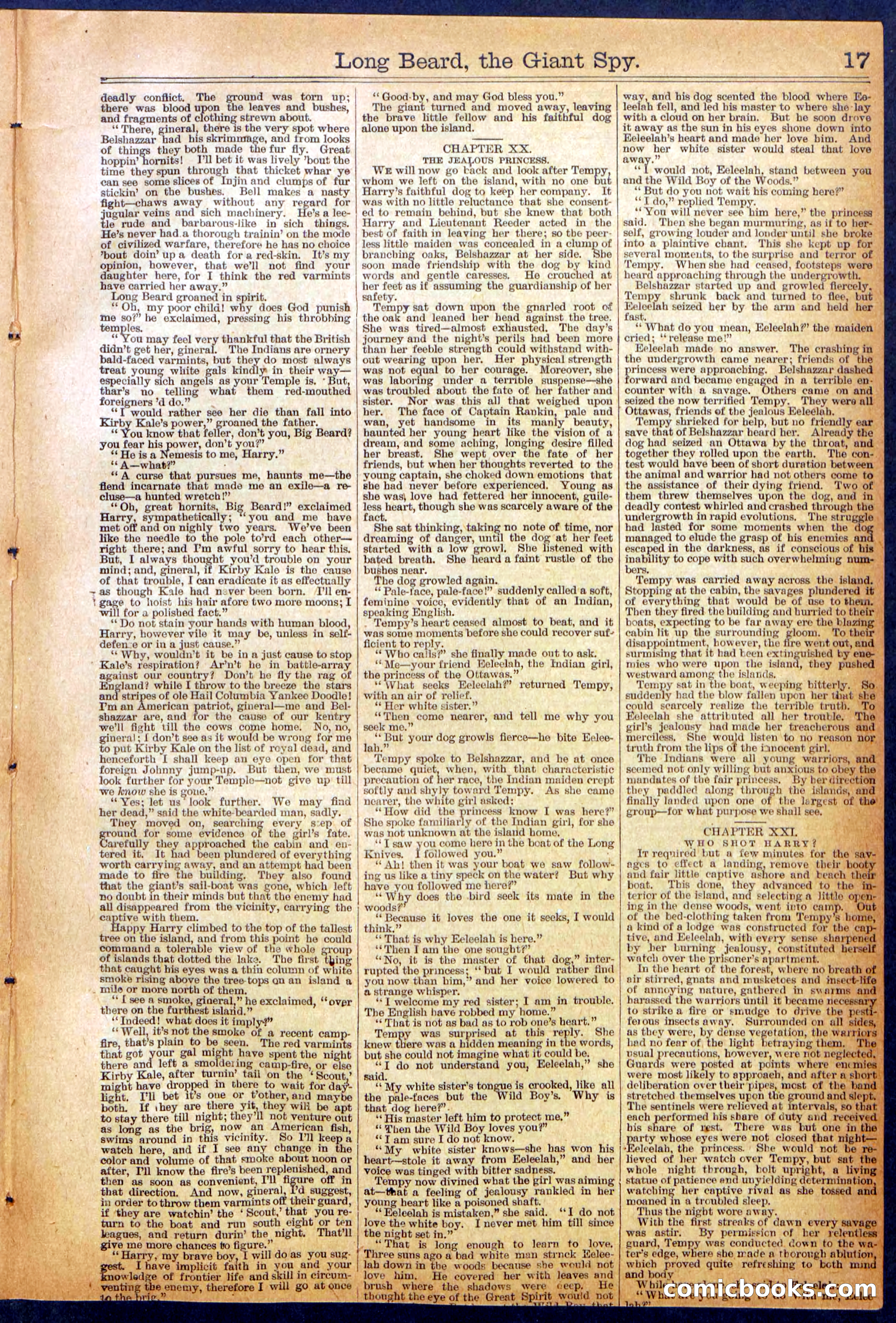 The New York Dime Library No. 1064 — page 17 of 32