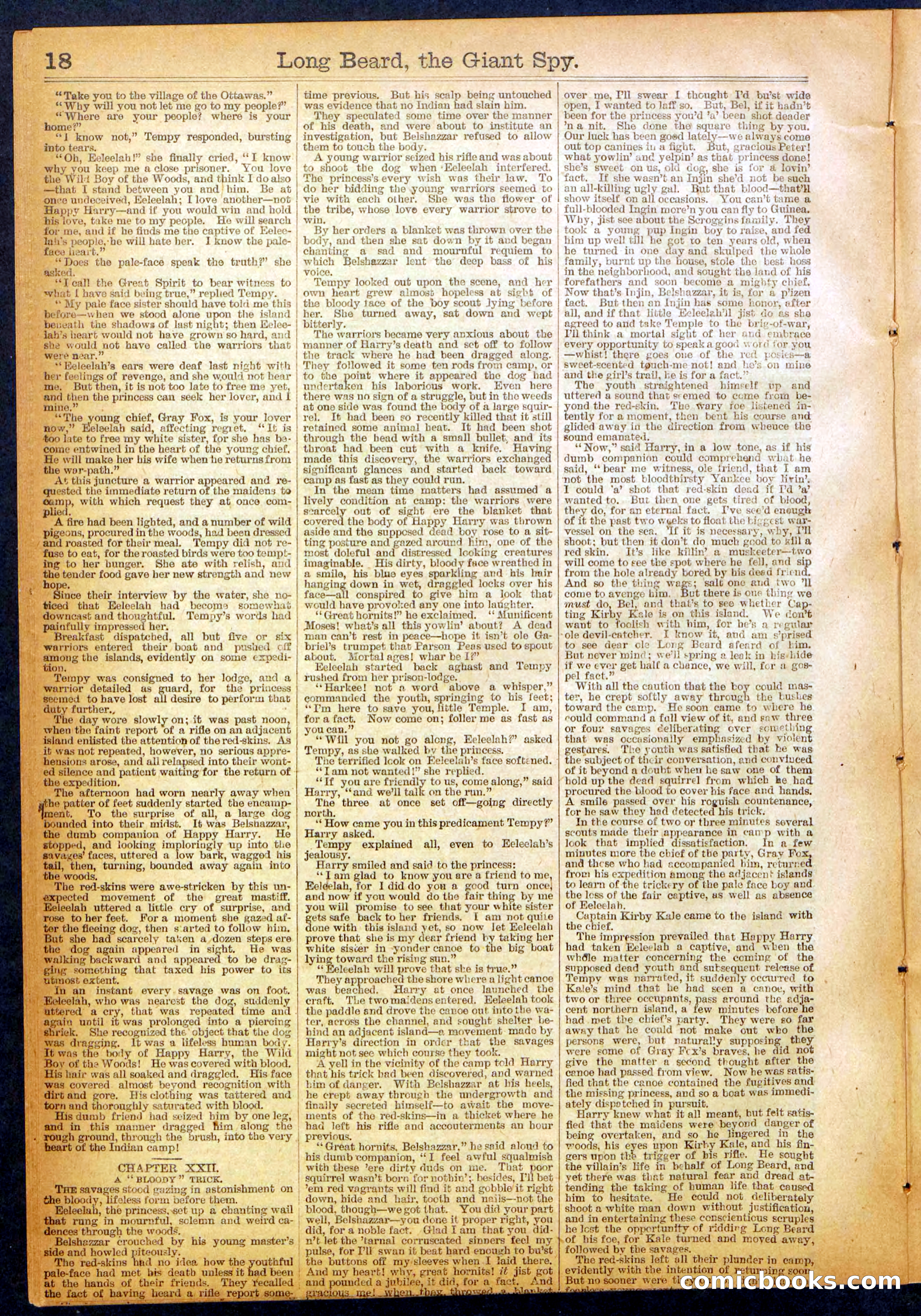 The New York Dime Library No. 1064 — page 18 of 32