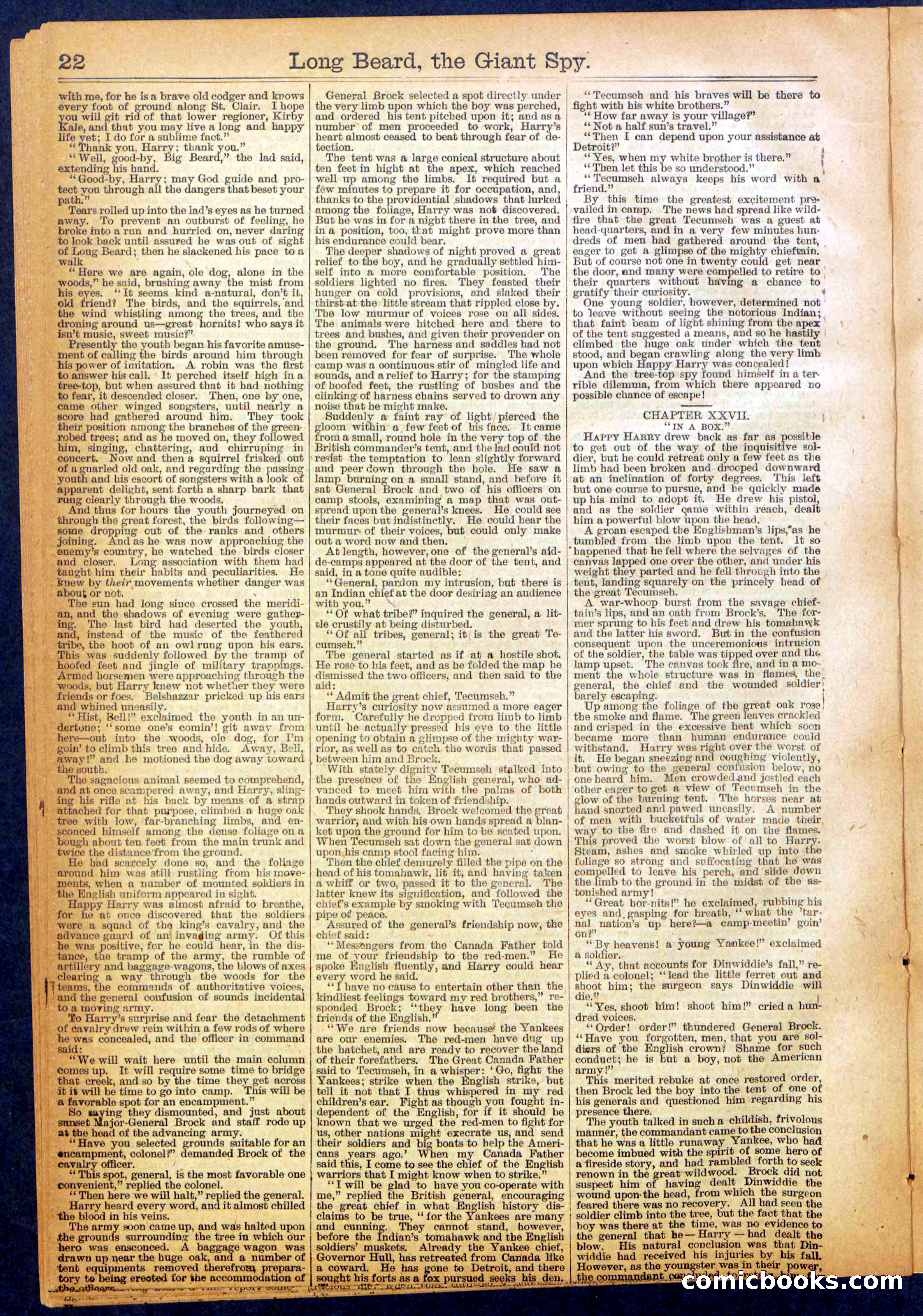 The New York Dime Library No. 1064 — page 22 of 32