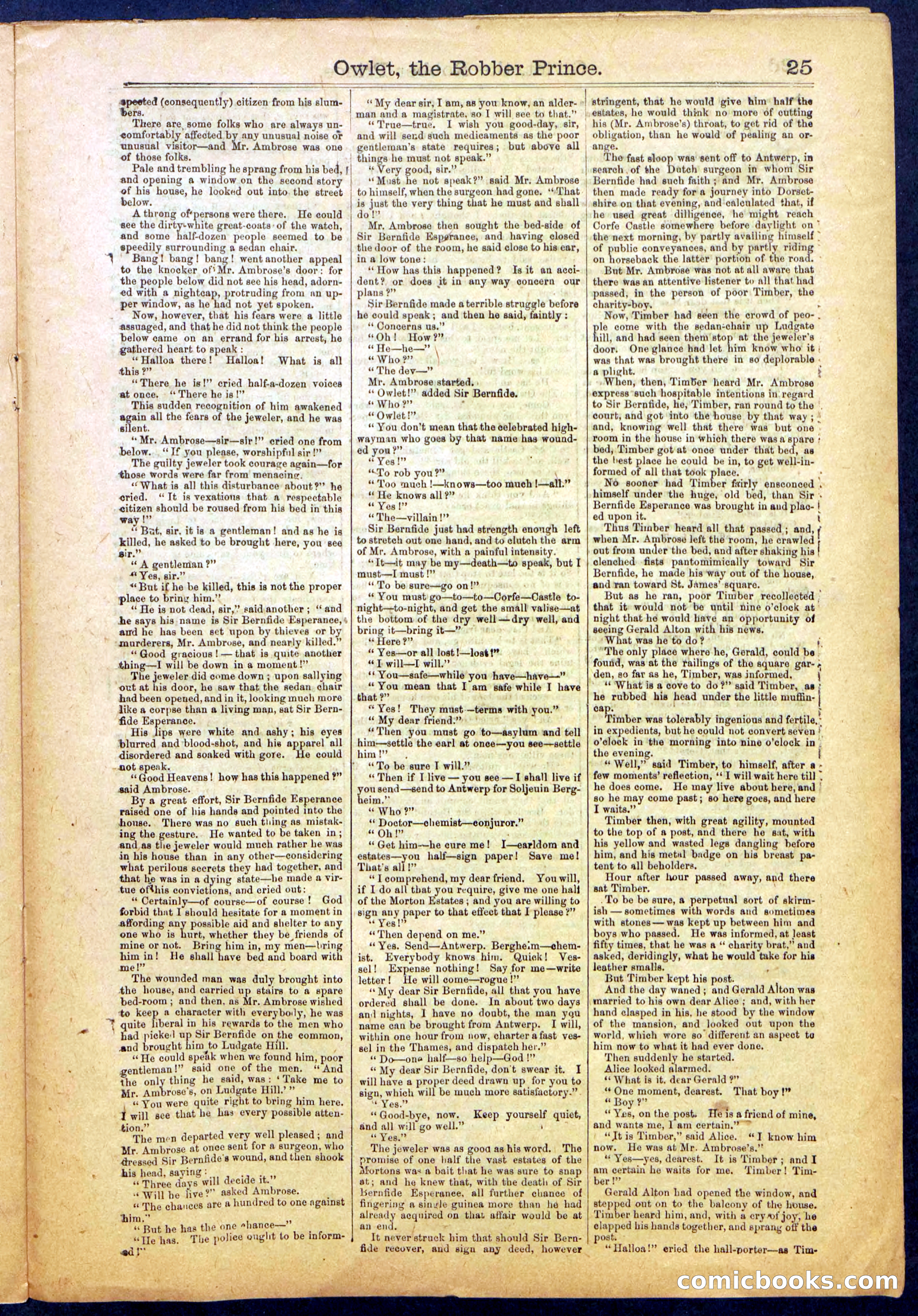 Owlet, the Robber Prince; or, The Unknown Highwayman — page 25 of 40
