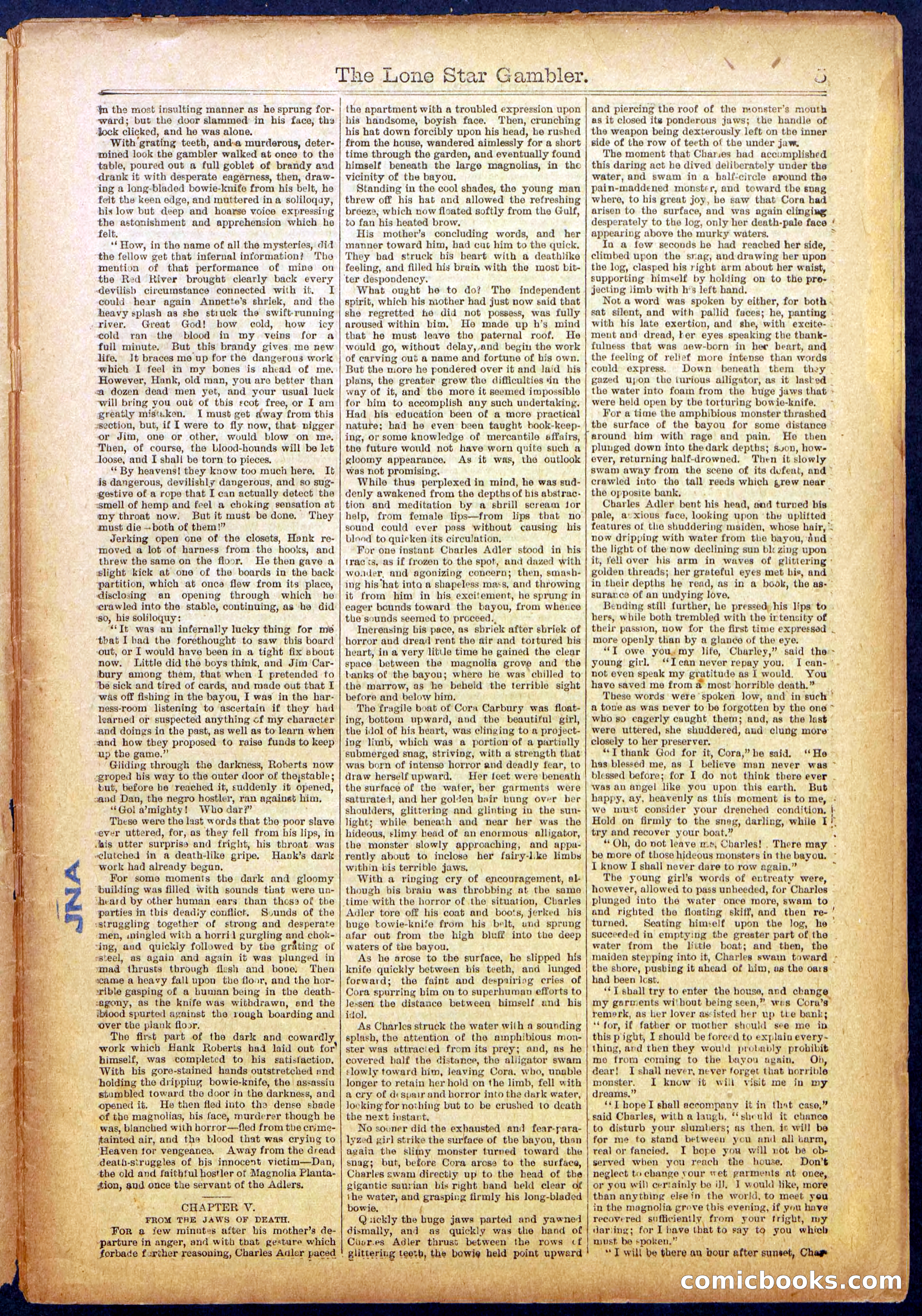 The Lone Star Gambler; or, The Maid of the Magnolias — page 5 of 32