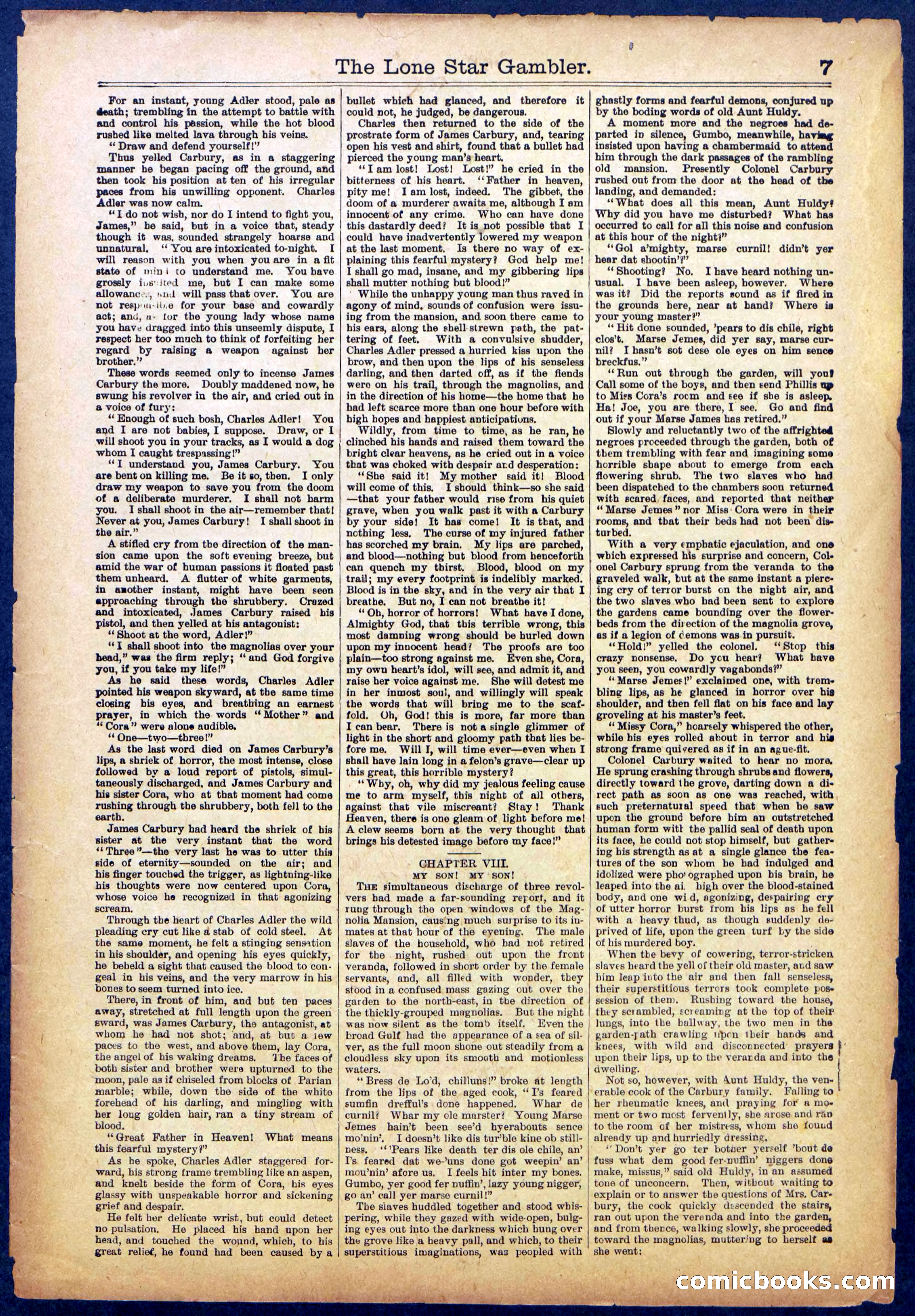 The Lone Star Gambler; or, The Maid of the Magnolias — page 7 of 32