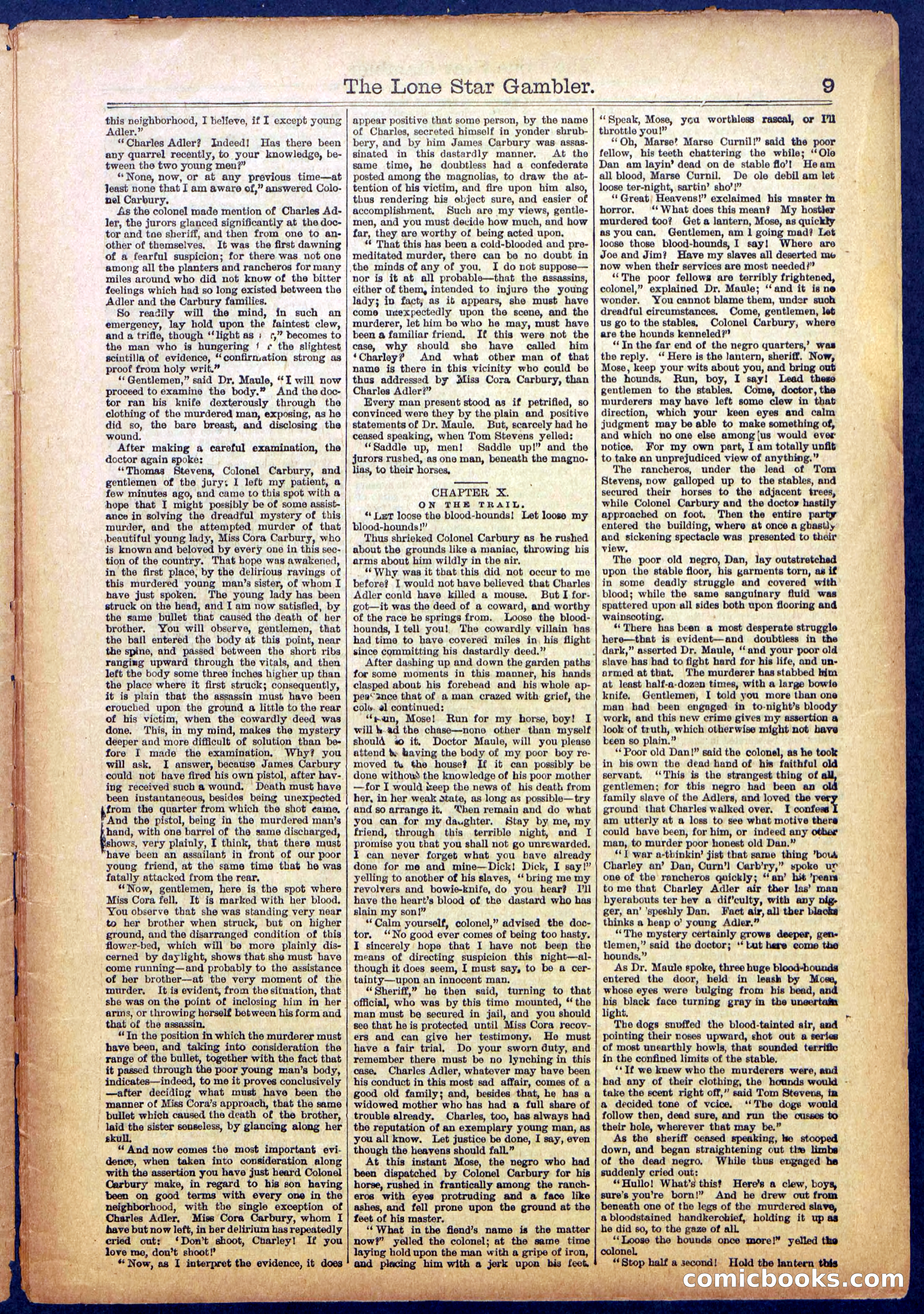 The Lone Star Gambler; or, The Maid of the Magnolias — page 9 of 32