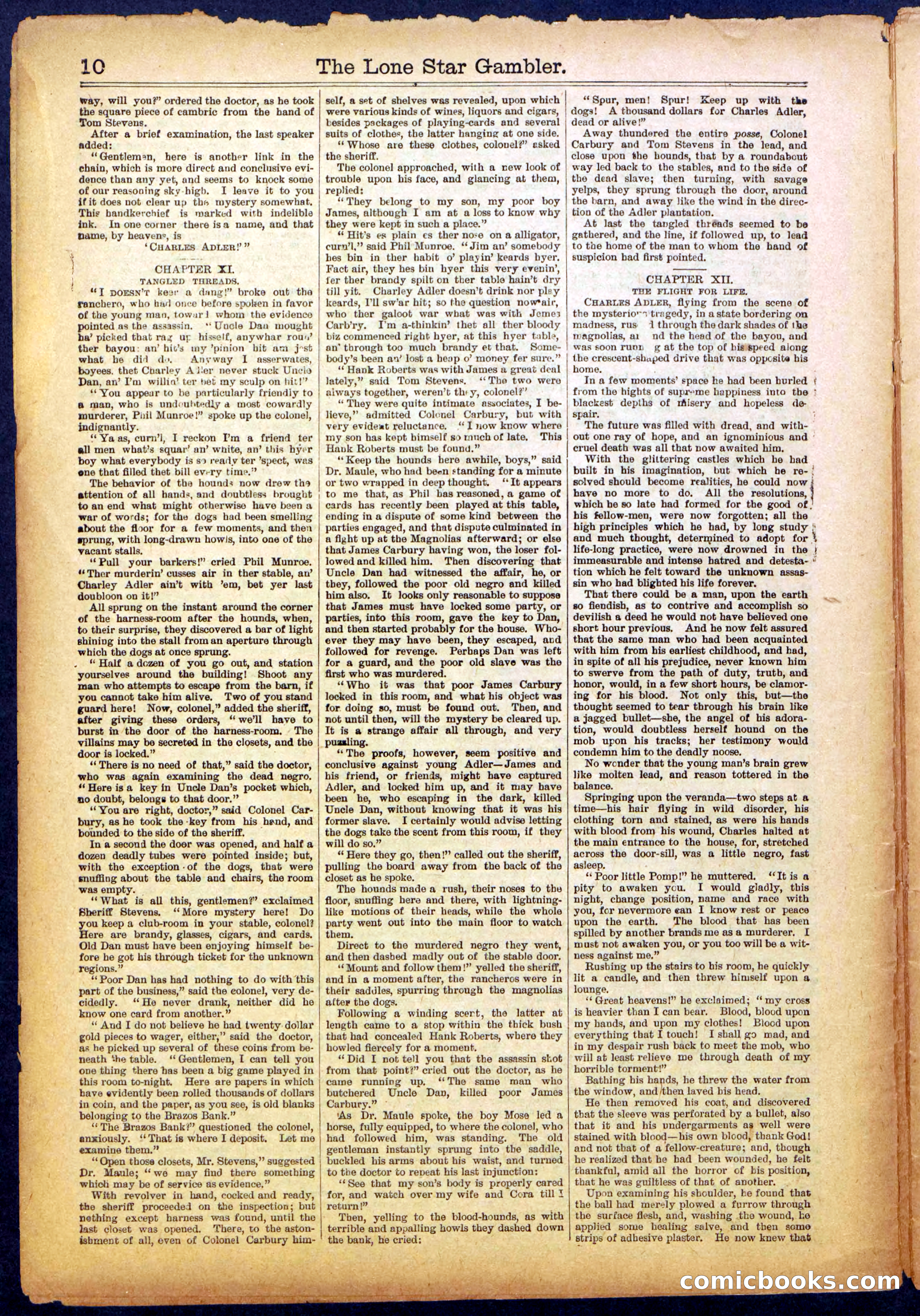 The Lone Star Gambler; or, The Maid of the Magnolias — page 10 of 32