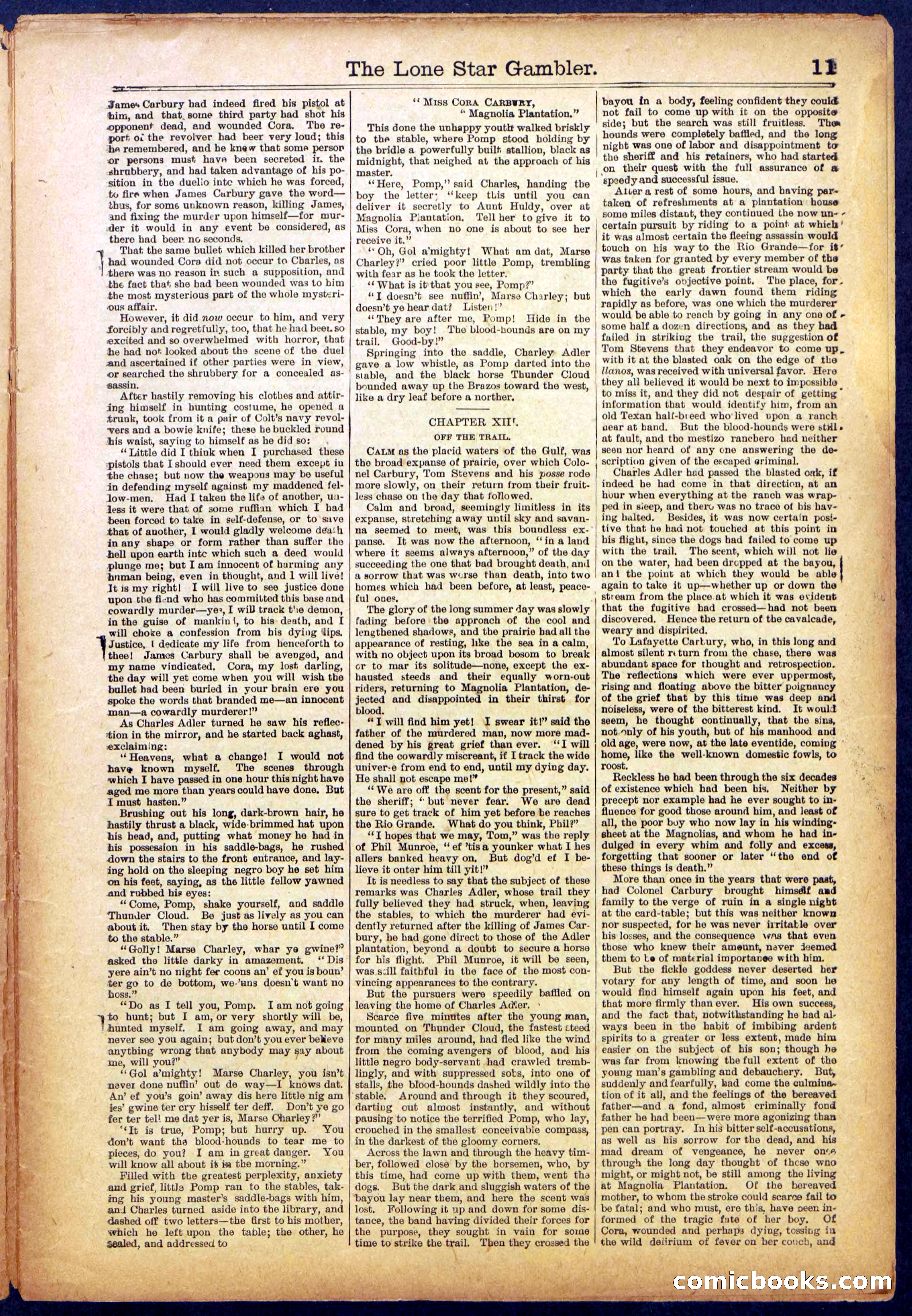 The Lone Star Gambler; or, The Maid of the Magnolias — page 11 of 32