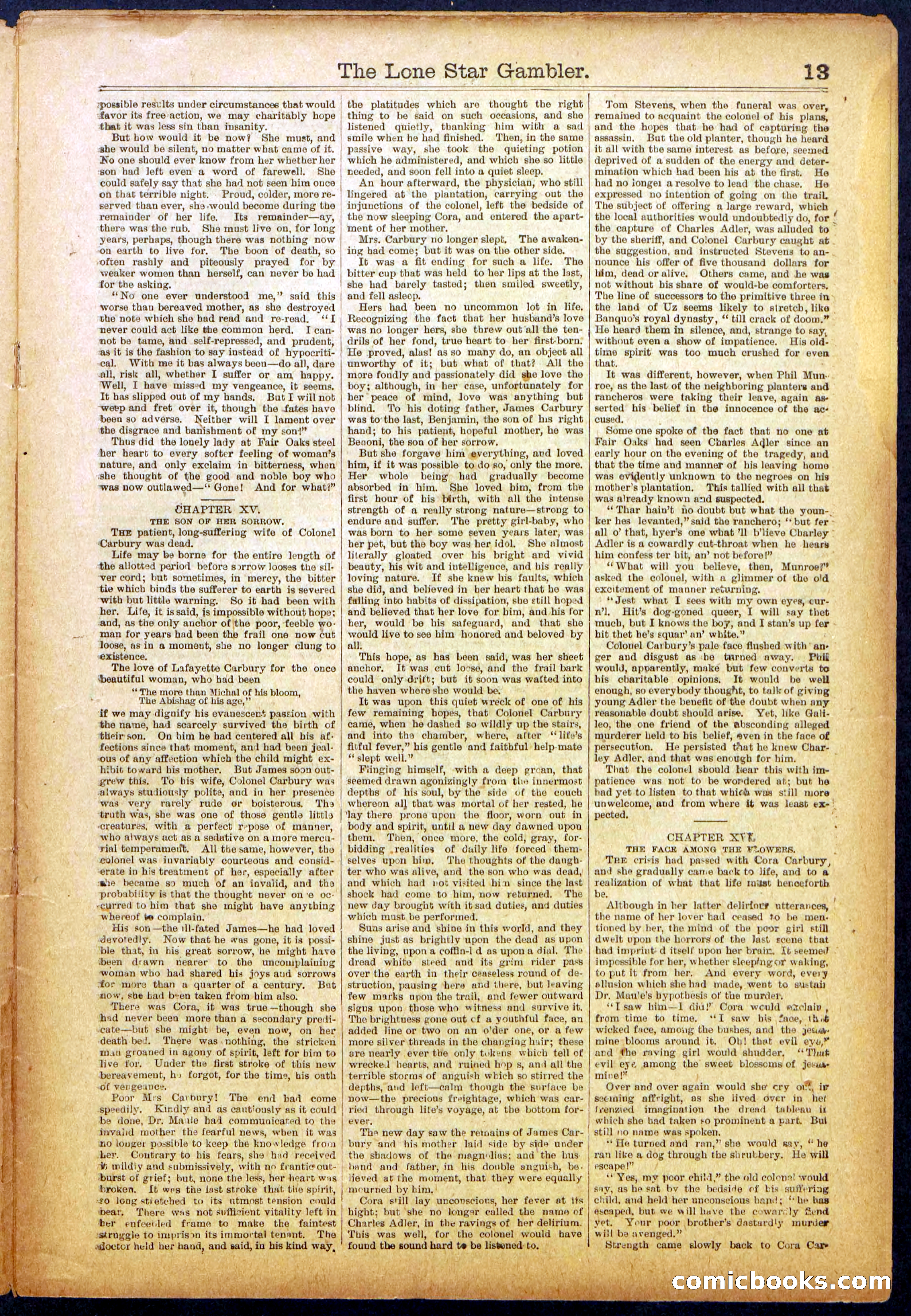 The Lone Star Gambler; or, The Maid of the Magnolias — page 13 of 32