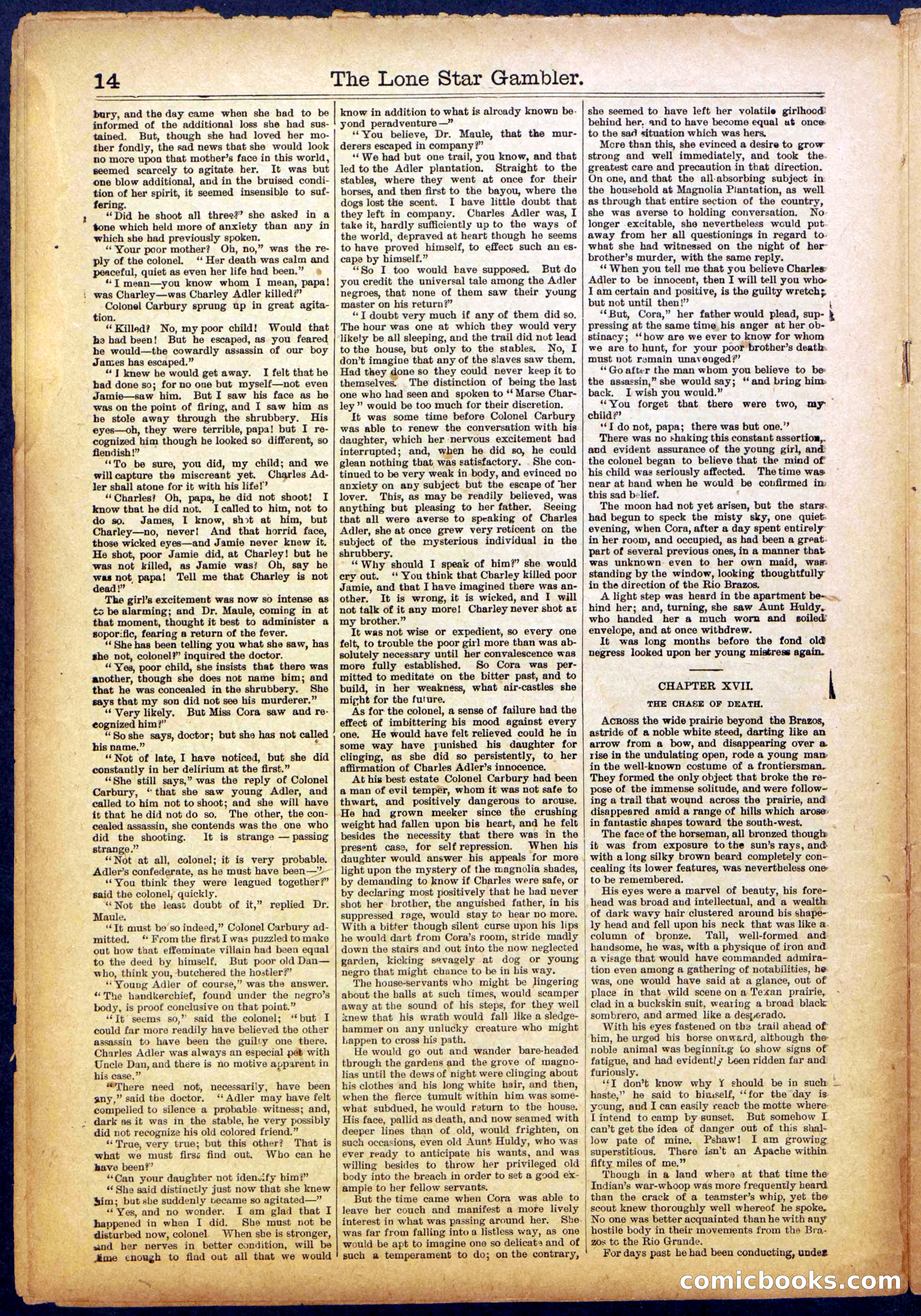 The Lone Star Gambler; or, The Maid of the Magnolias — page 14 of 32