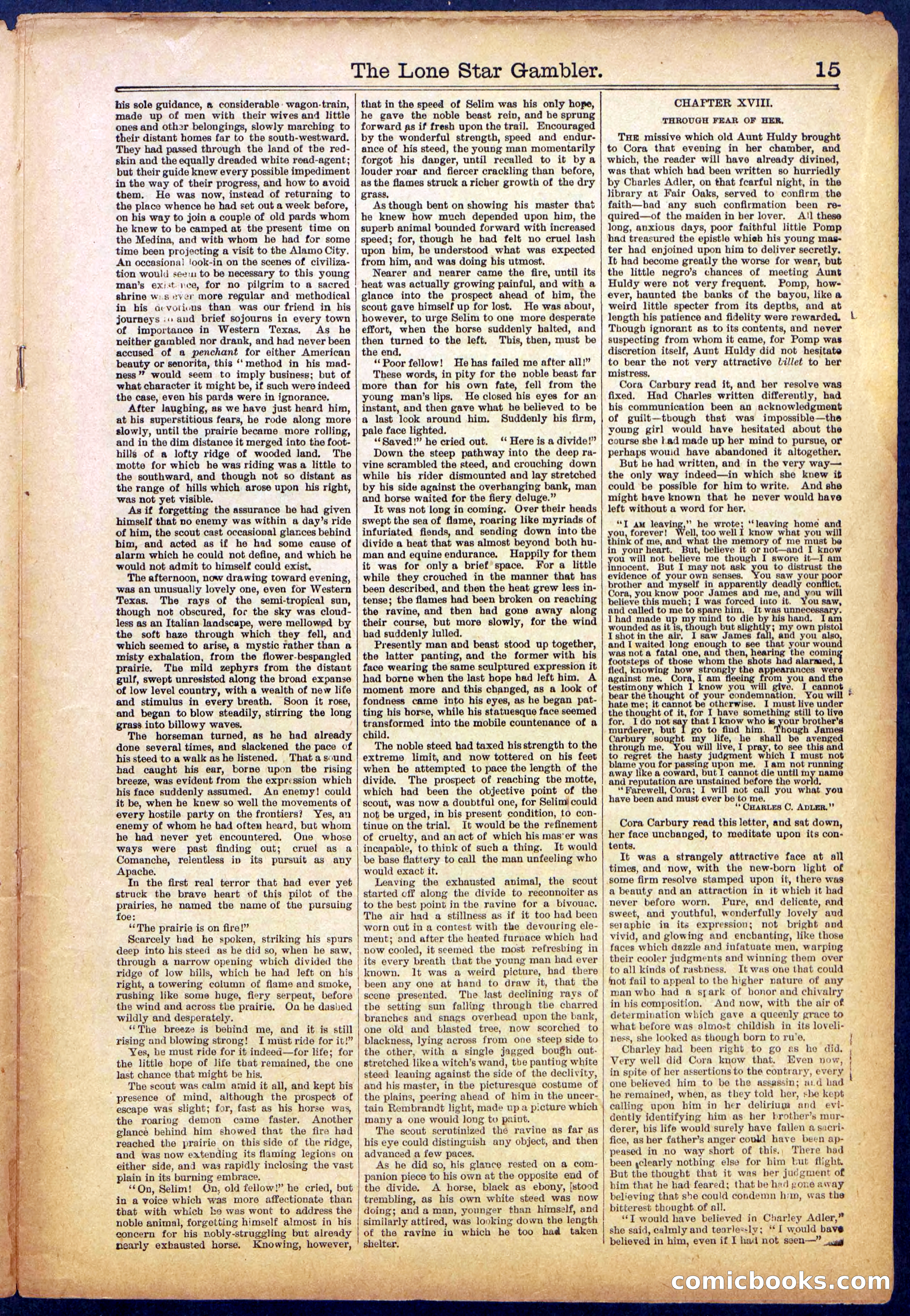 The Lone Star Gambler; or, The Maid of the Magnolias — page 15 of 32