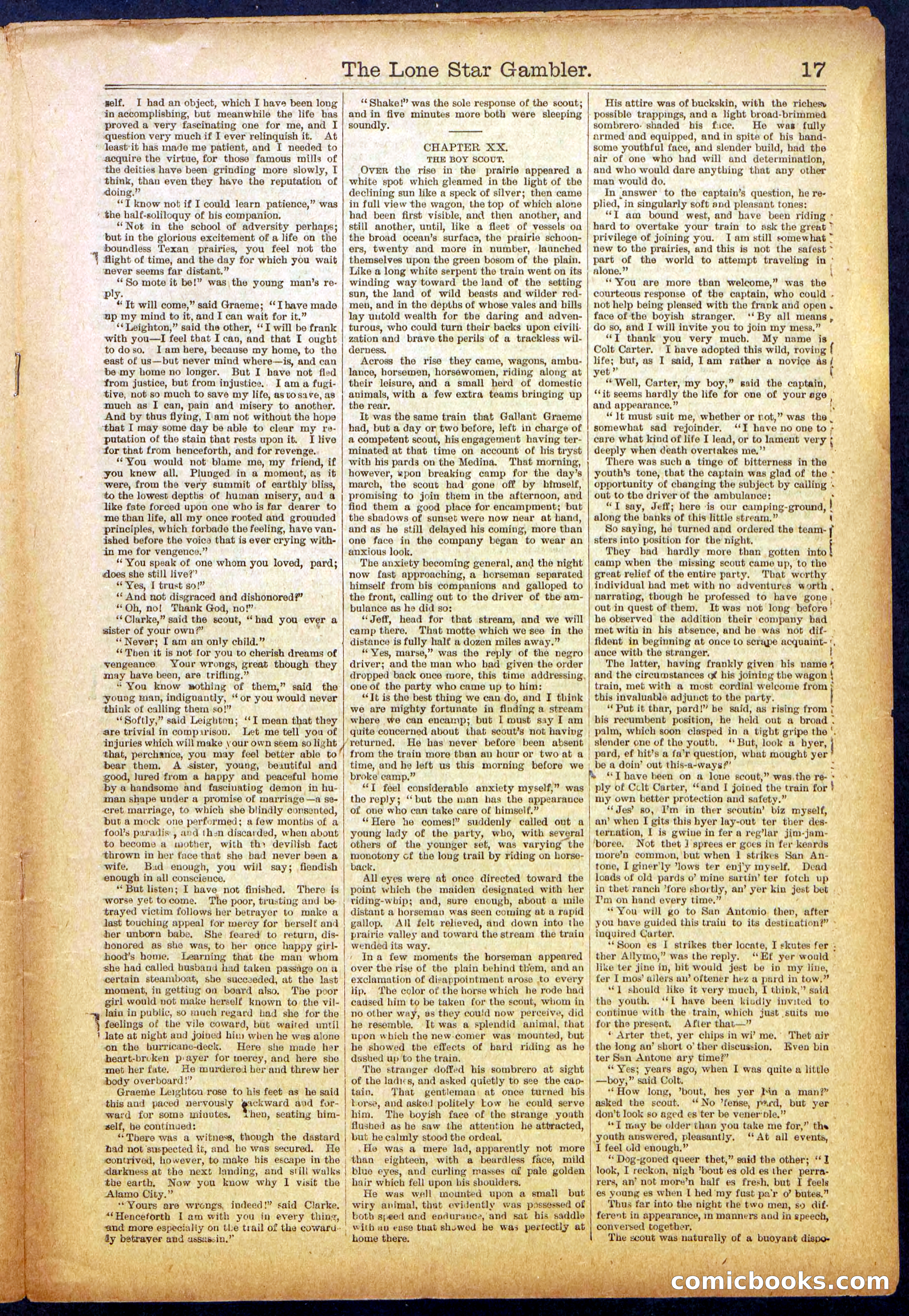 The Lone Star Gambler; or, The Maid of the Magnolias — page 17 of 32