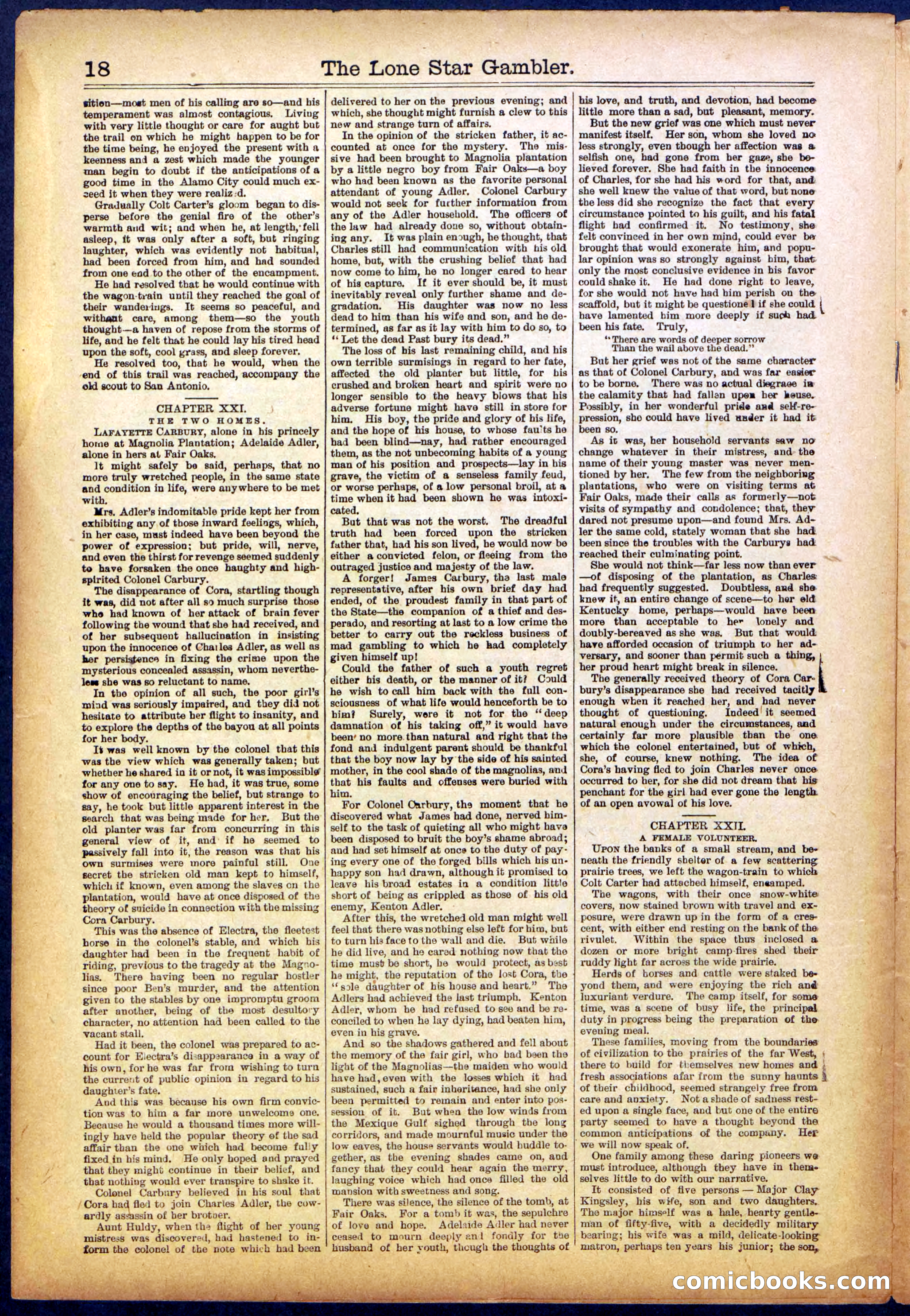 The Lone Star Gambler; or, The Maid of the Magnolias — page 18 of 32