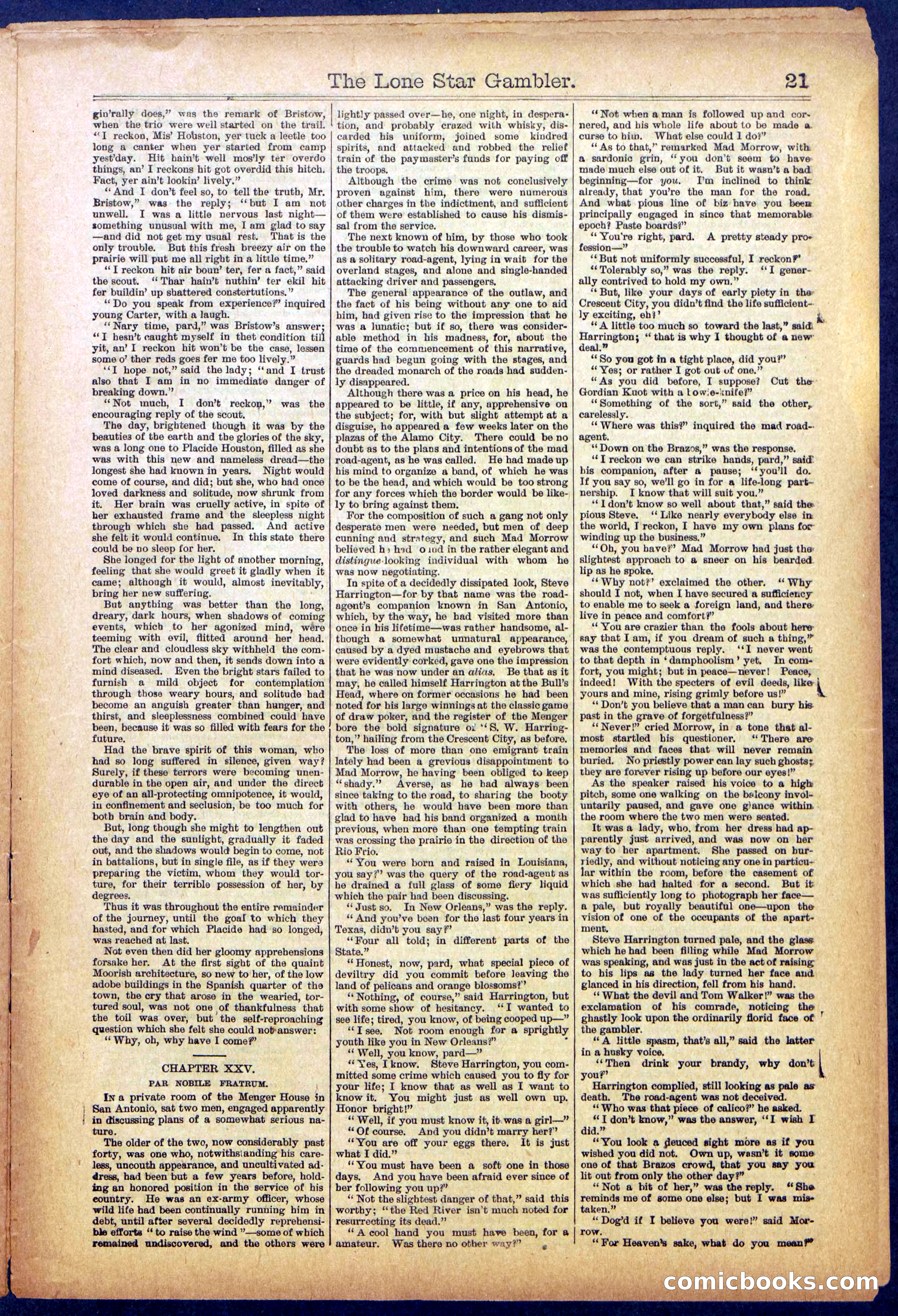 The Lone Star Gambler; or, The Maid of the Magnolias — page 21 of 32