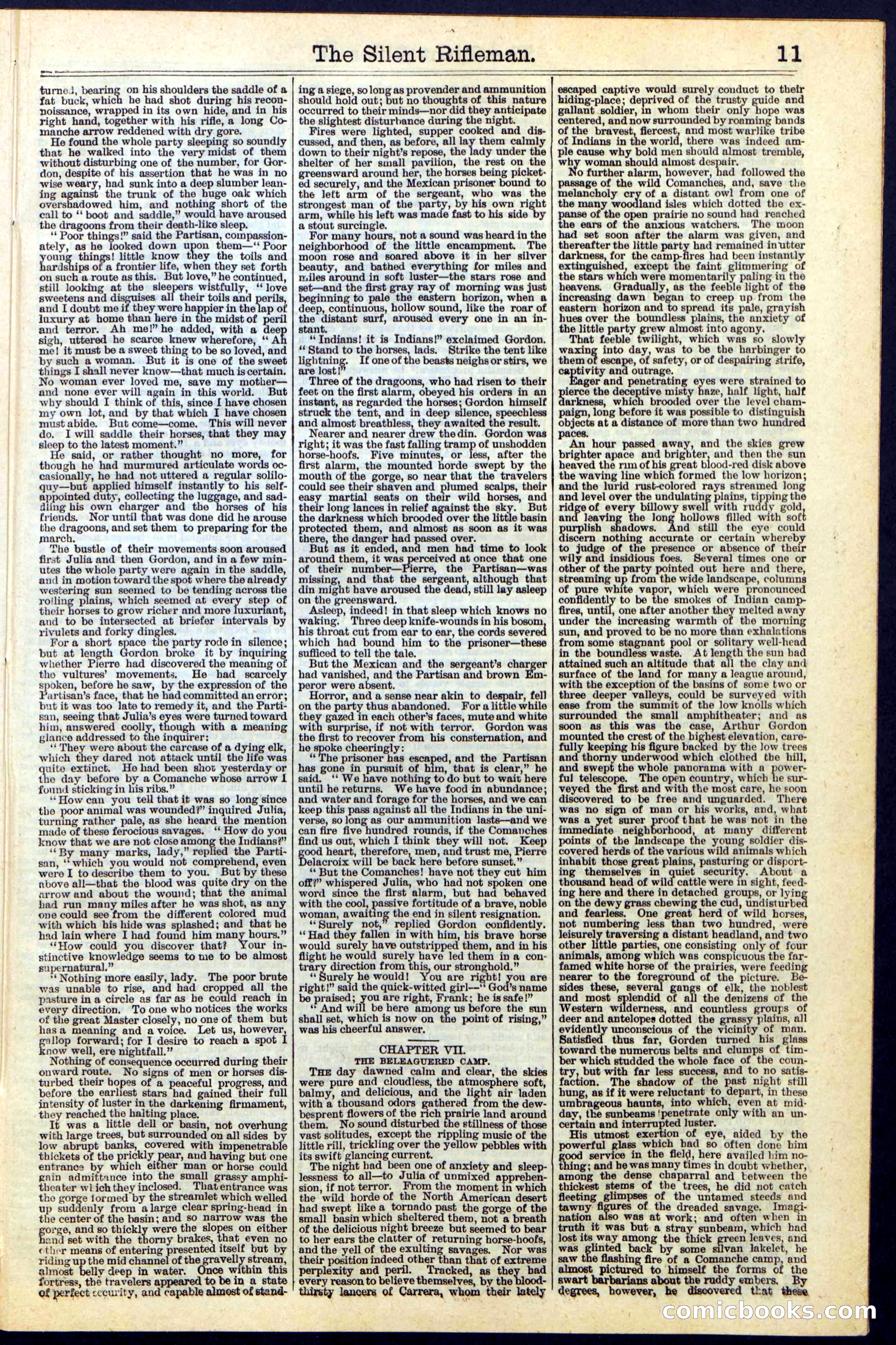 The Silent Rifleman: A Tale of the Texan Plains — page 11 of 32