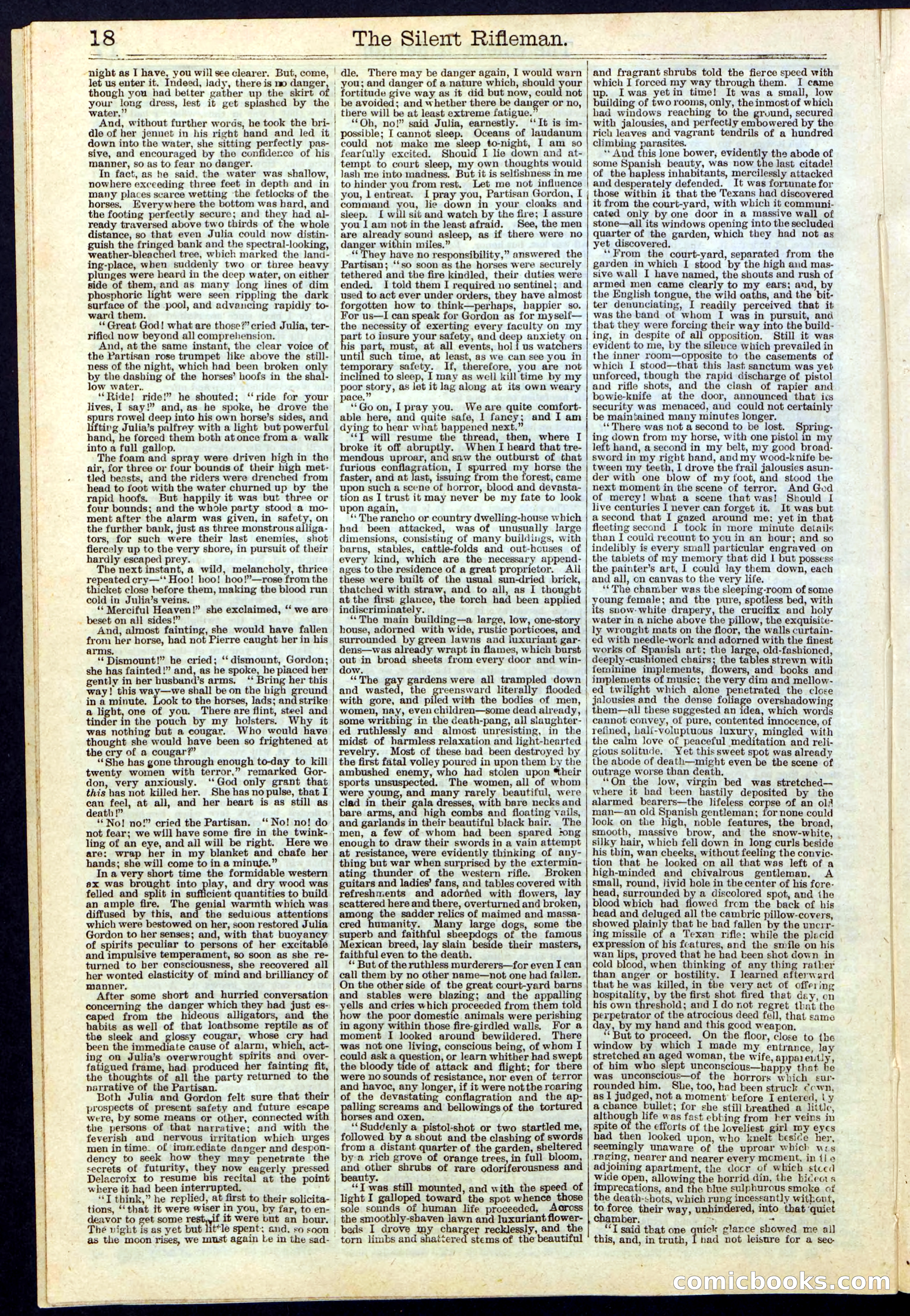 The Silent Rifleman: A Tale of the Texan Plains — page 18 of 32