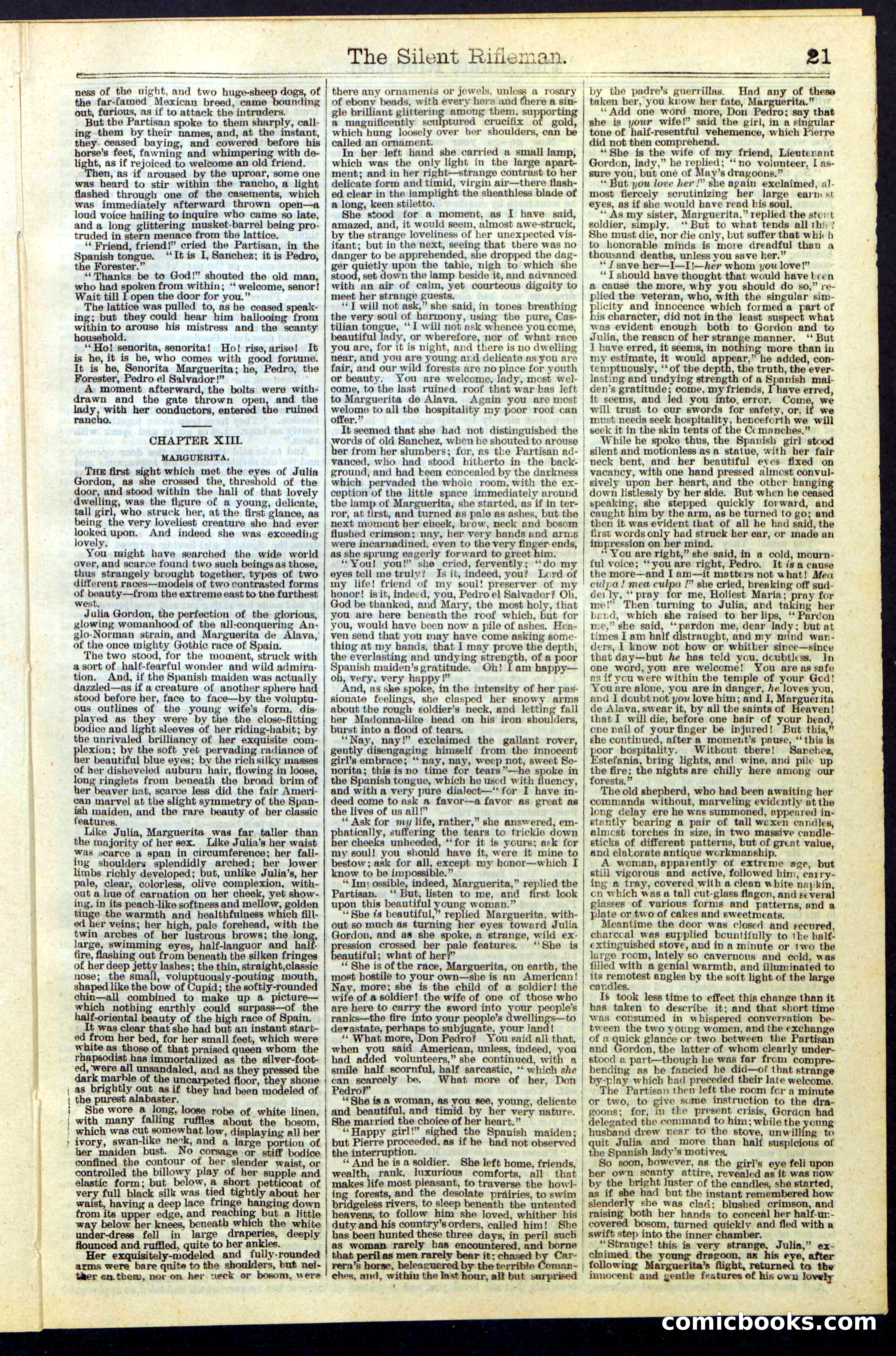 The Silent Rifleman: A Tale of the Texan Plains — page 21 of 32