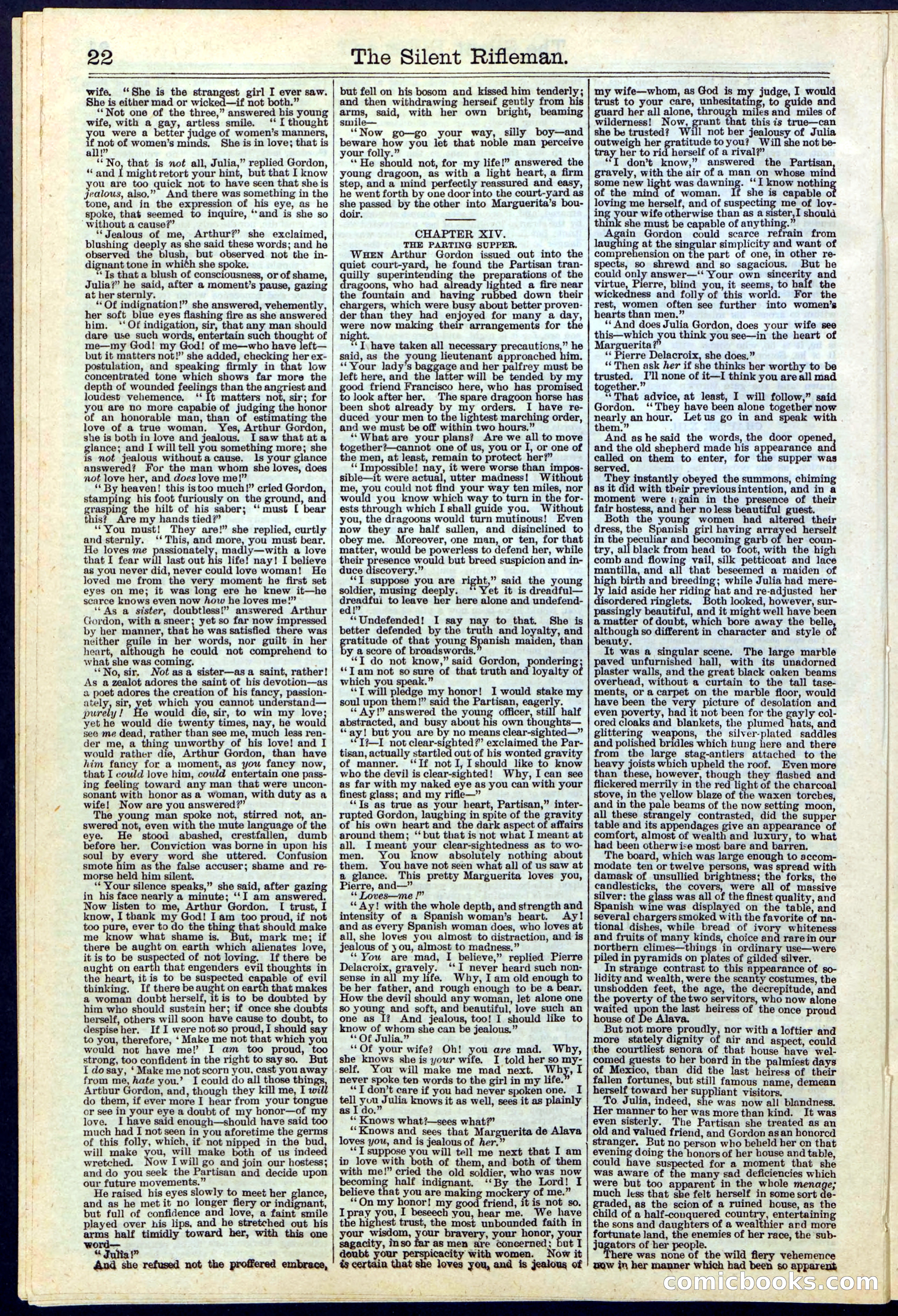 The Silent Rifleman: A Tale of the Texan Plains — page 22 of 32