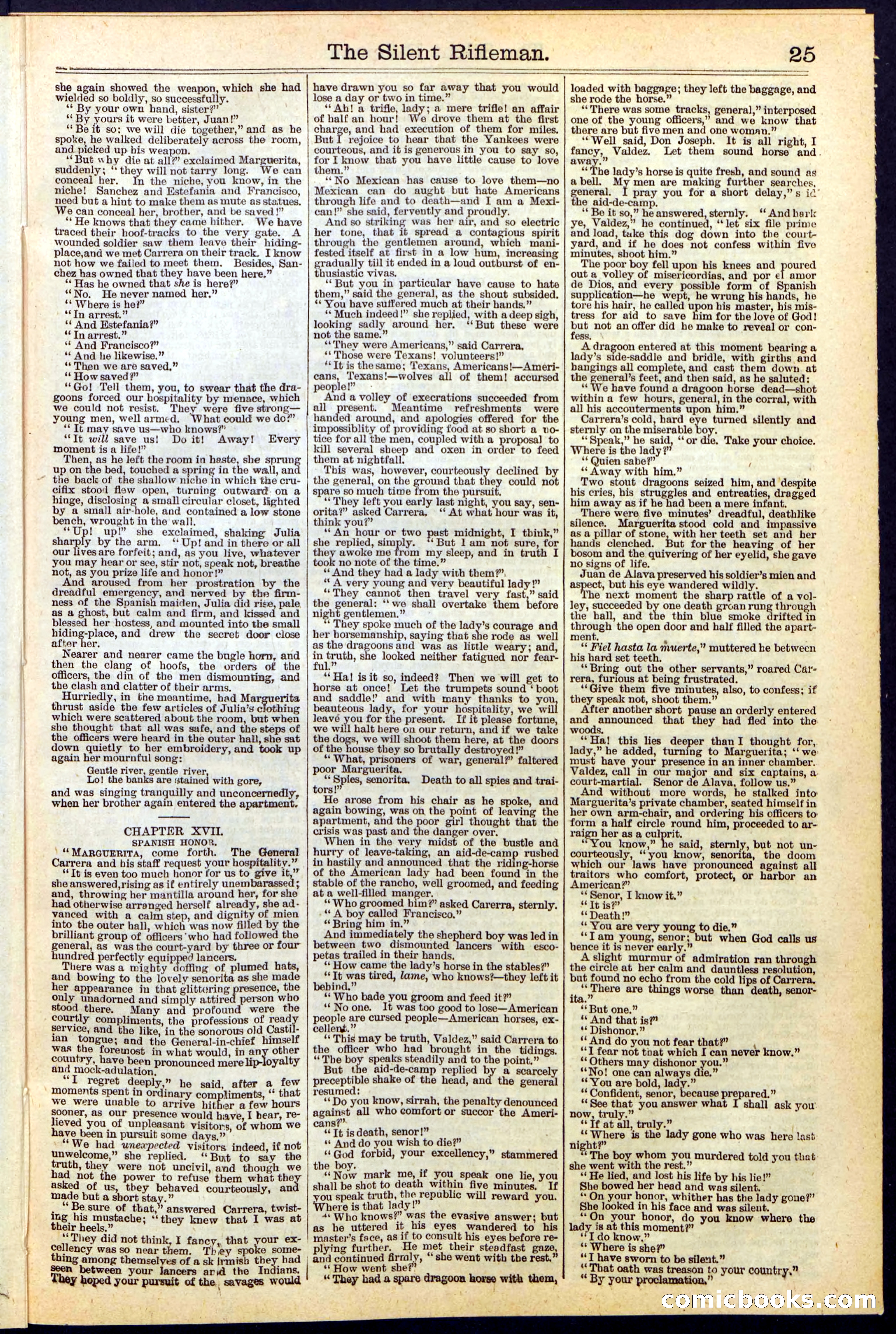 The Silent Rifleman: A Tale of the Texan Plains — page 25 of 32