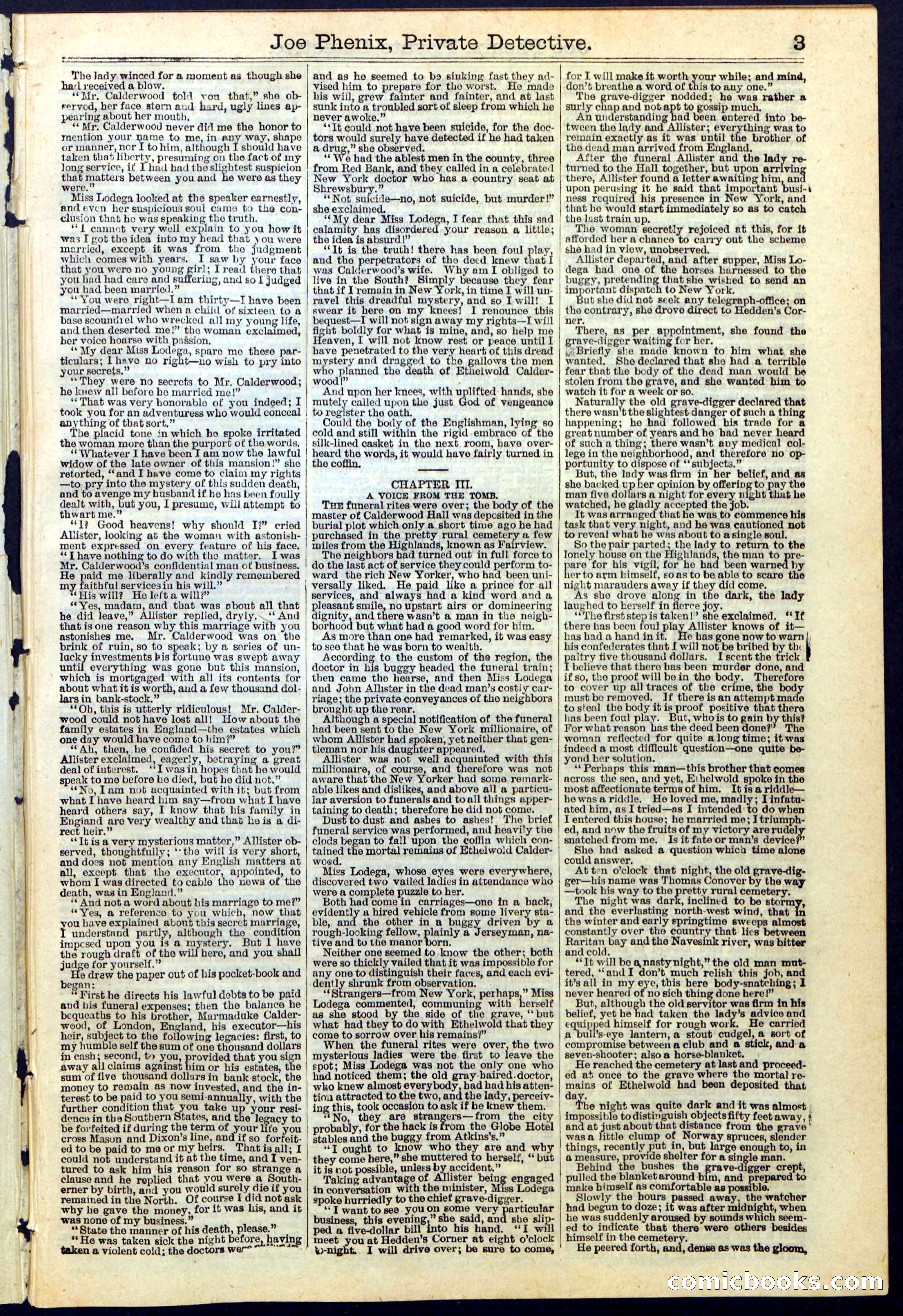 Joe Phenix, Private Detective; or, The League of the Skeleton Keys — page 3 of 30
