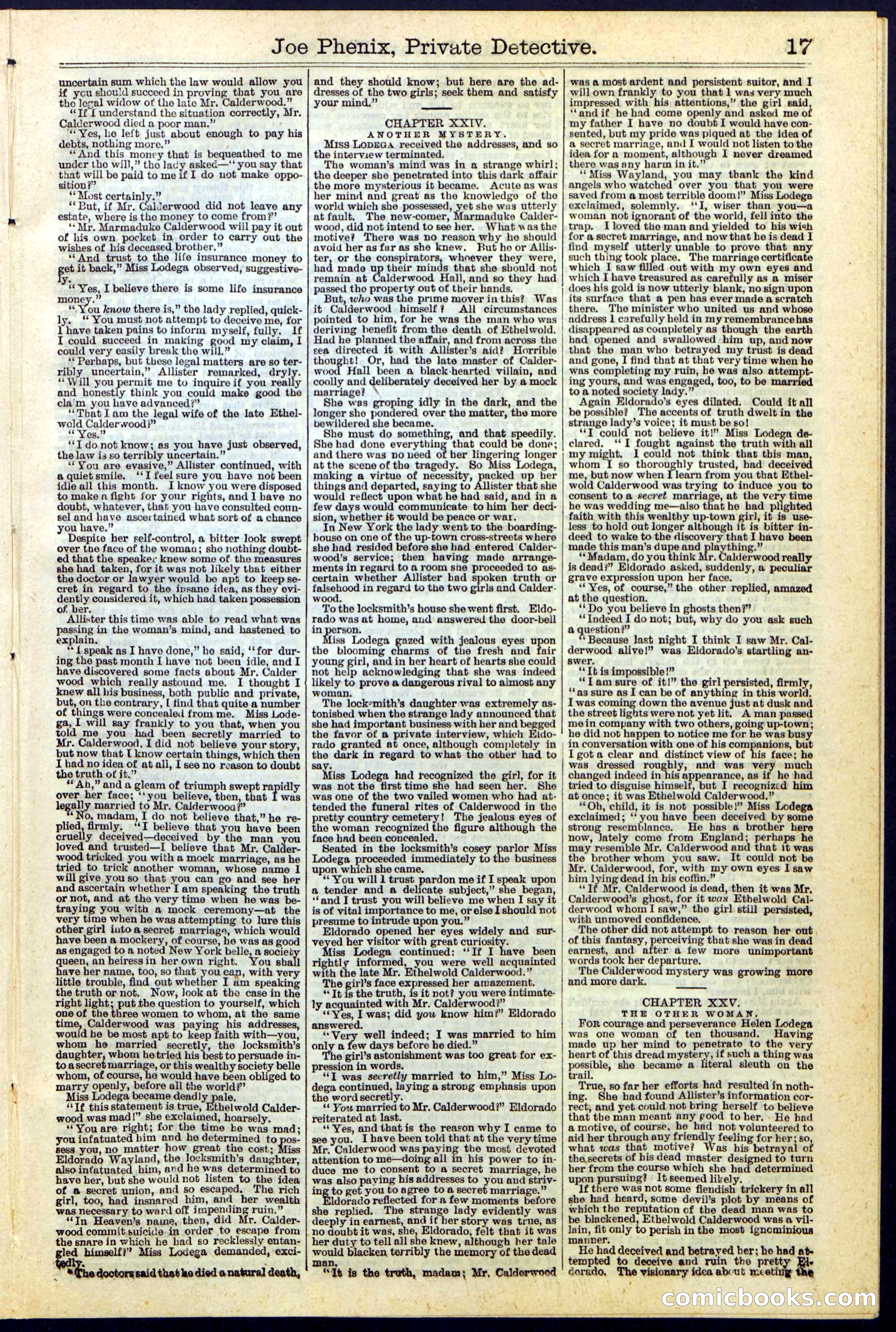 Joe Phenix, Private Detective; or, The League of the Skeleton Keys — page 17 of 30