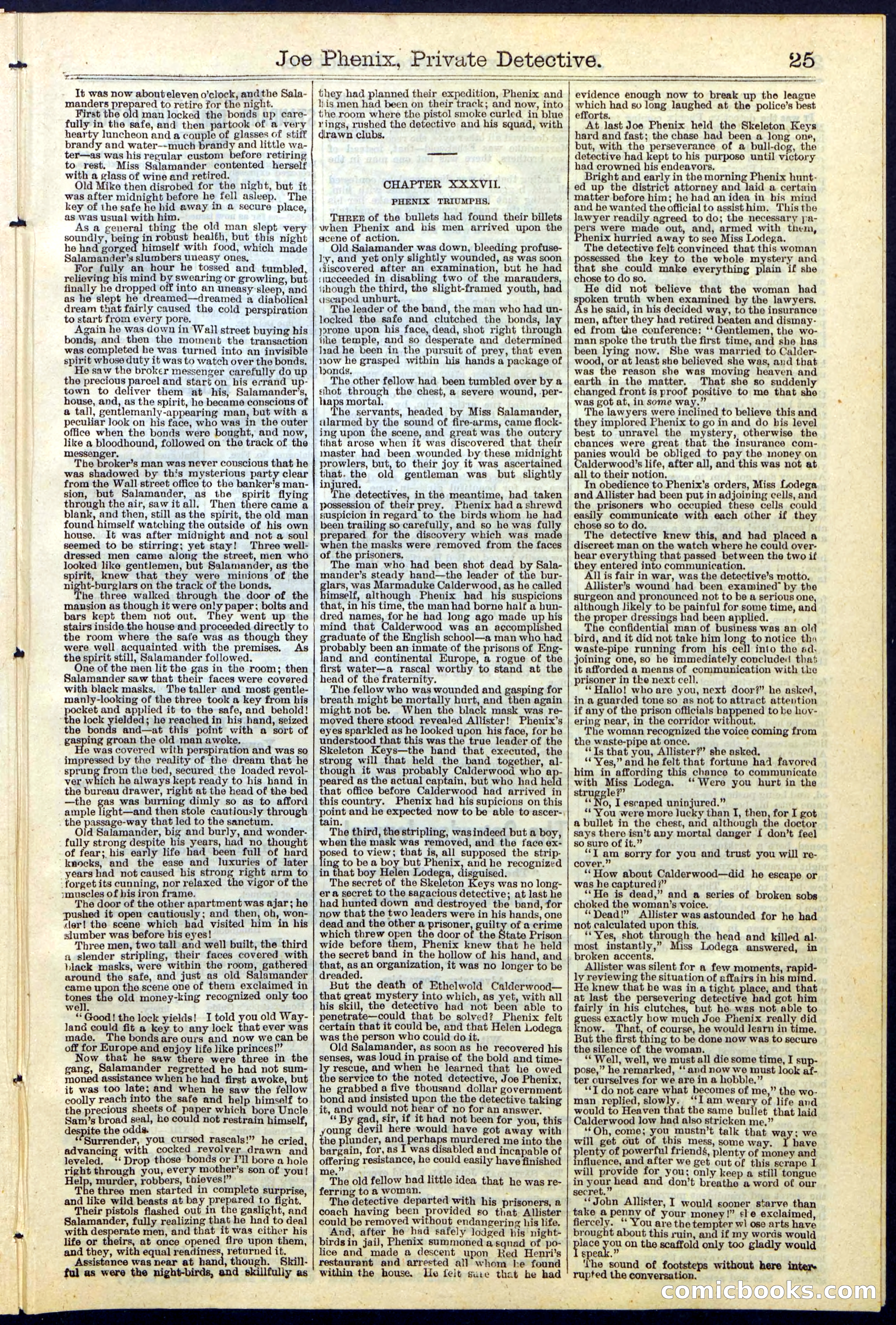 Joe Phenix, Private Detective; or, The League of the Skeleton Keys — page 25 of 30