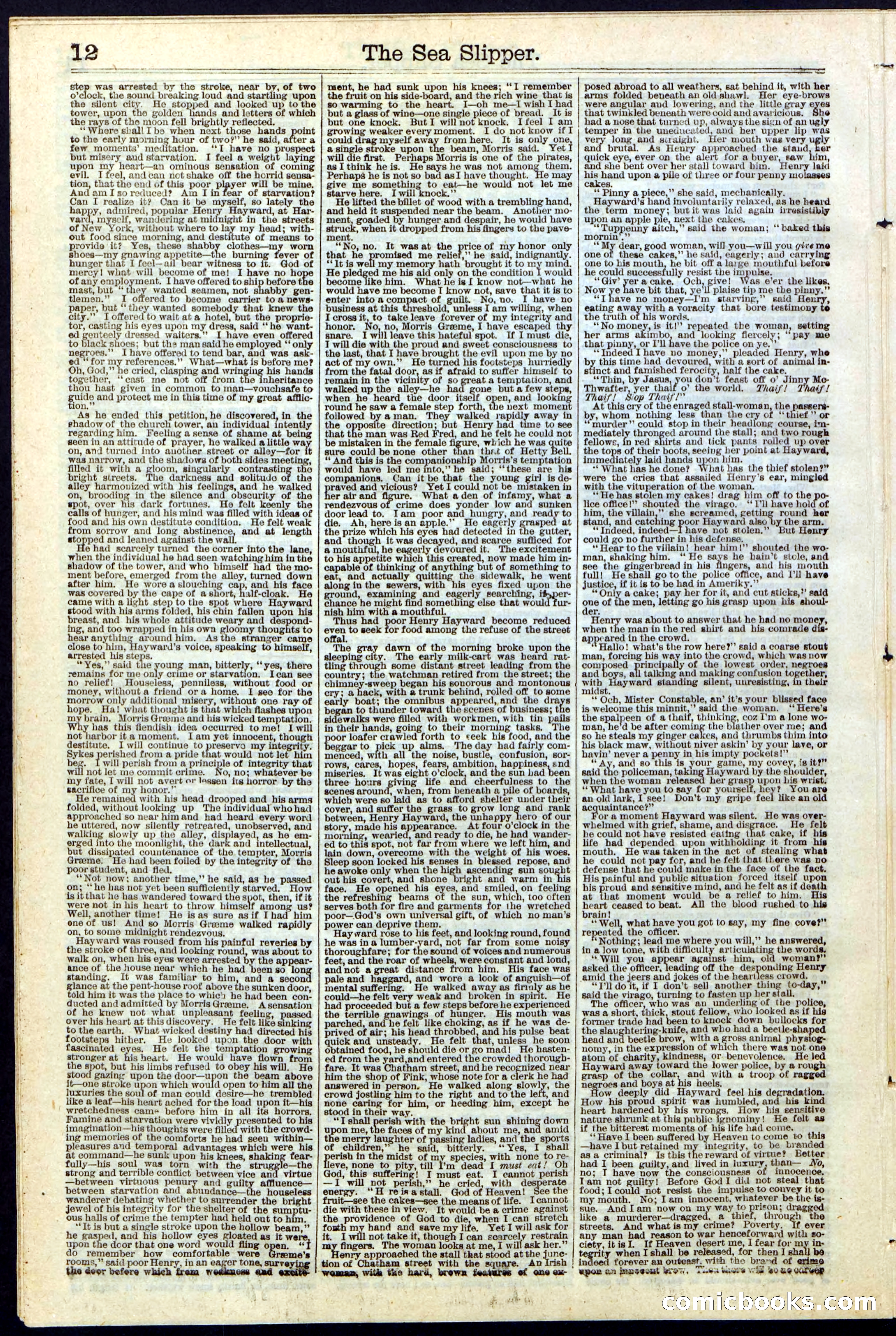 The Sea Slipper; or, The Amateur Freebooters — page 12 of 24
