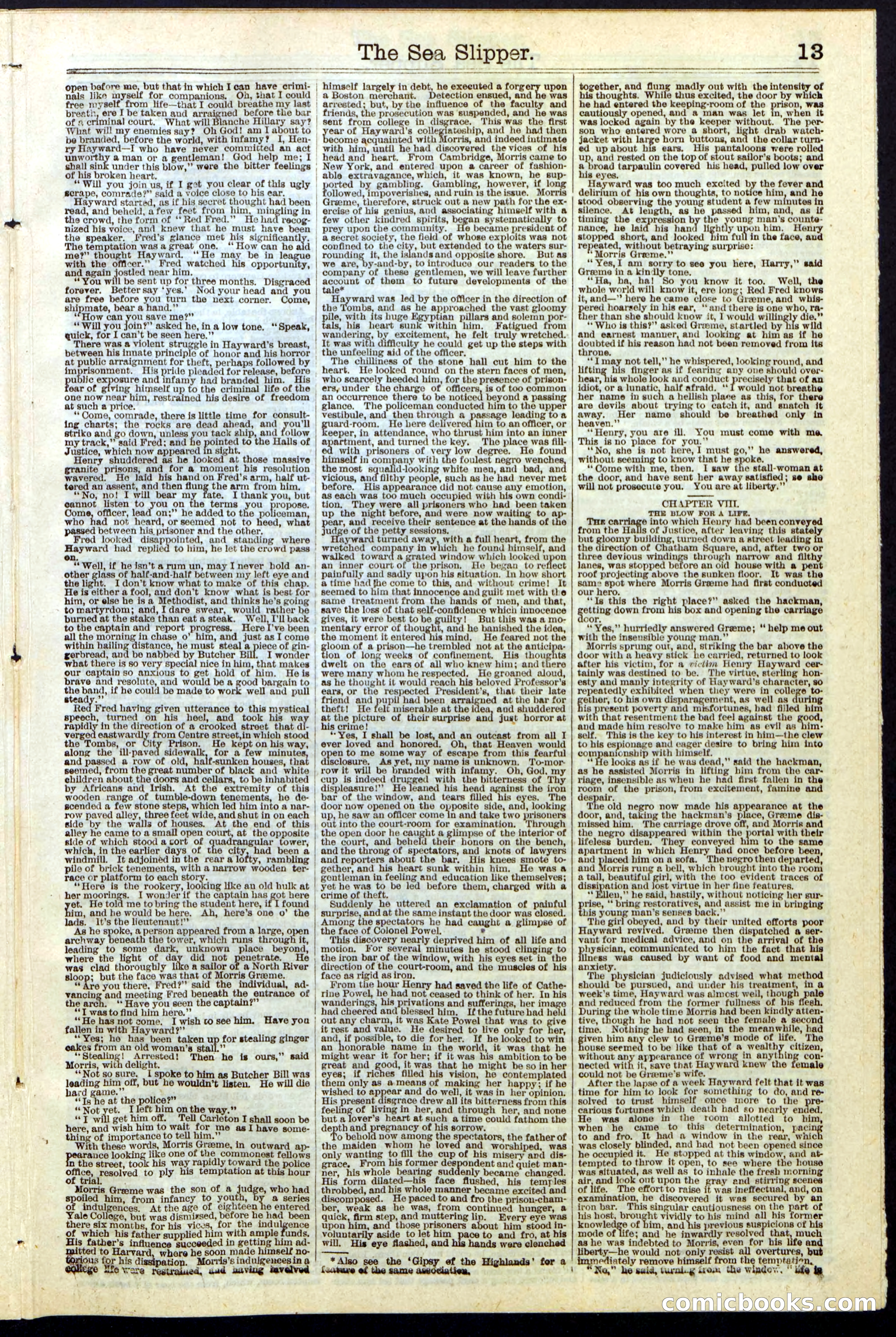 The Sea Slipper; or, The Amateur Freebooters — page 13 of 24