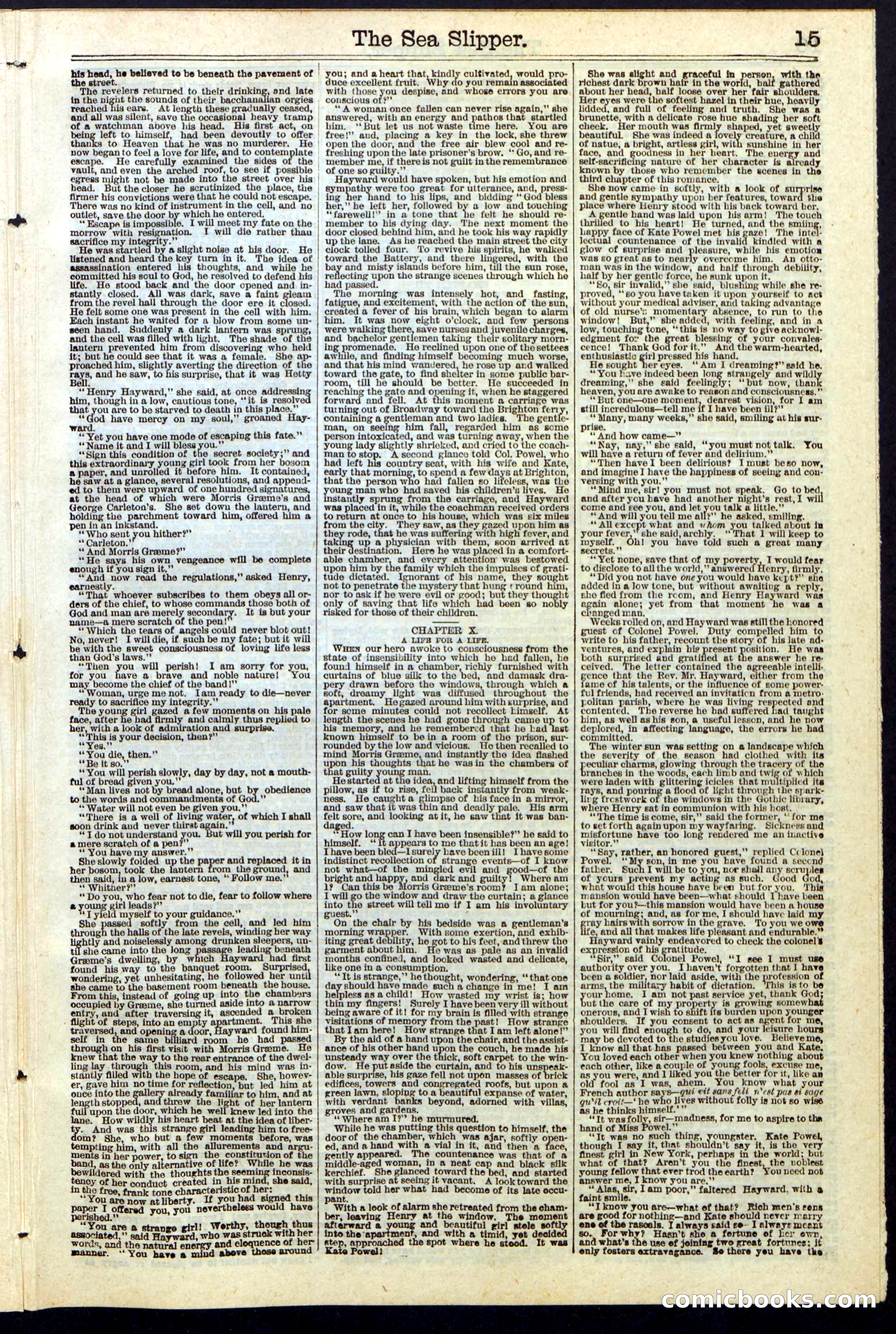 The Sea Slipper; or, The Amateur Freebooters — page 15 of 24