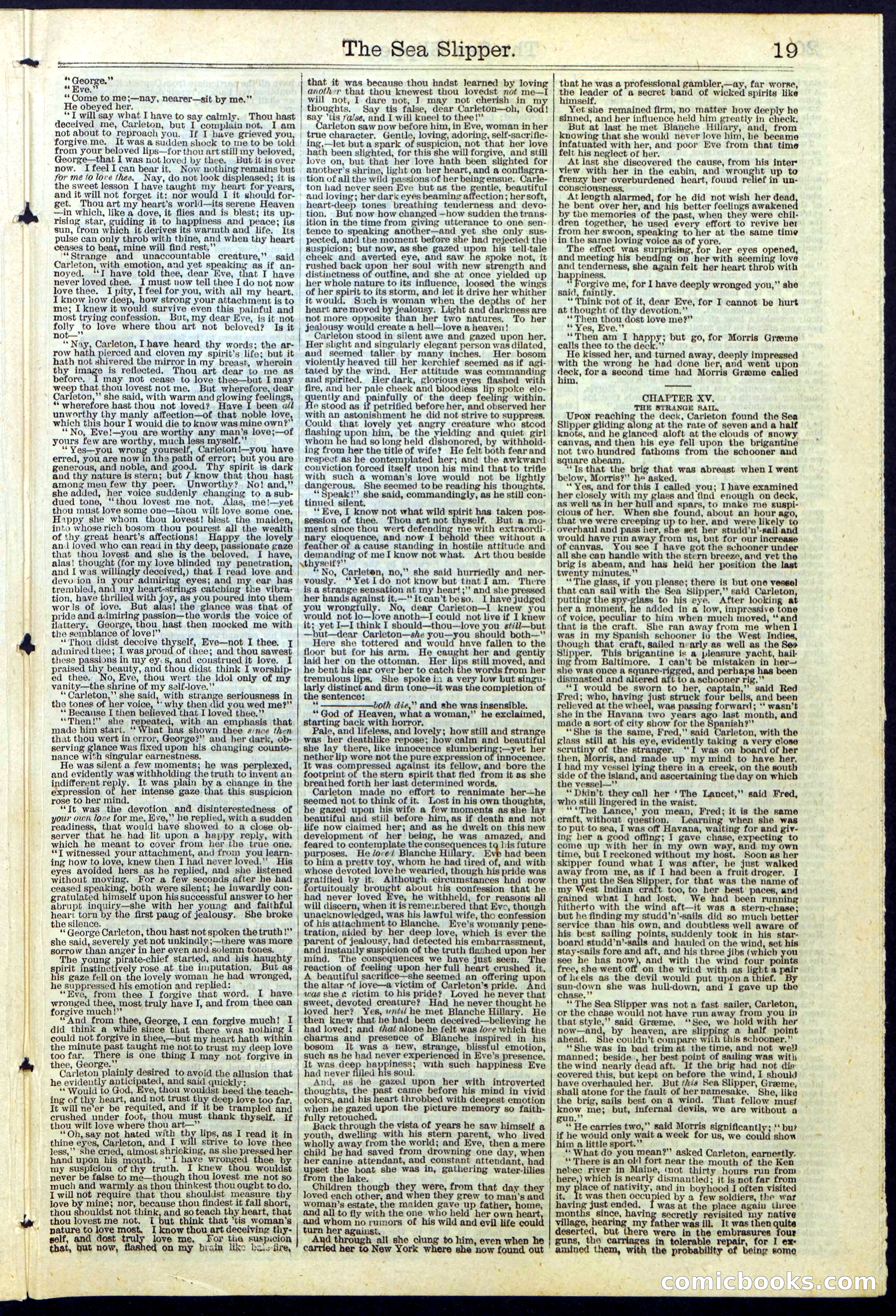 The Sea Slipper; or, The Amateur Freebooters — page 19 of 24
