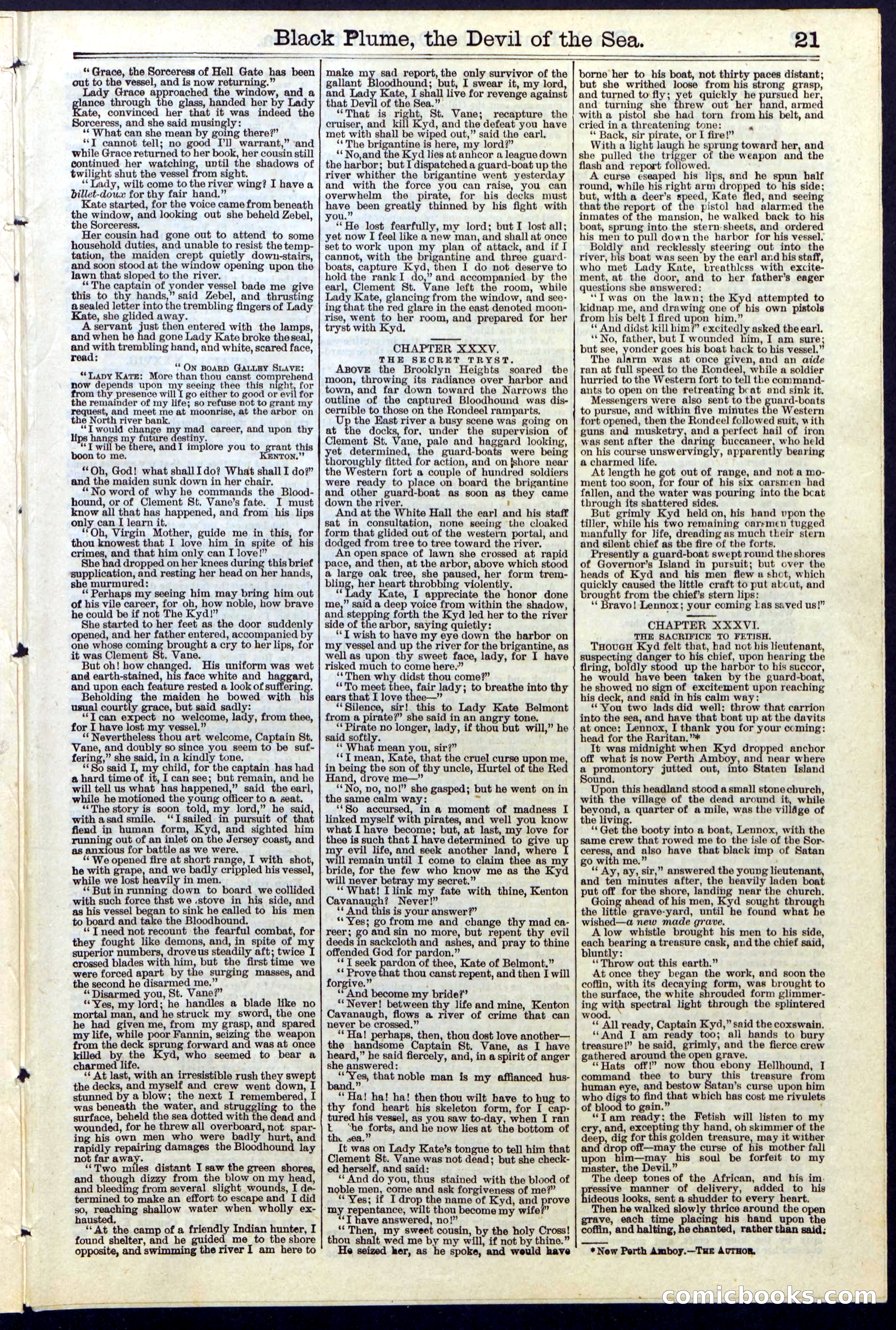 Black Plume, the Devil of the Sea; or, The Sorceress of Hell Gate — page 21 of 24