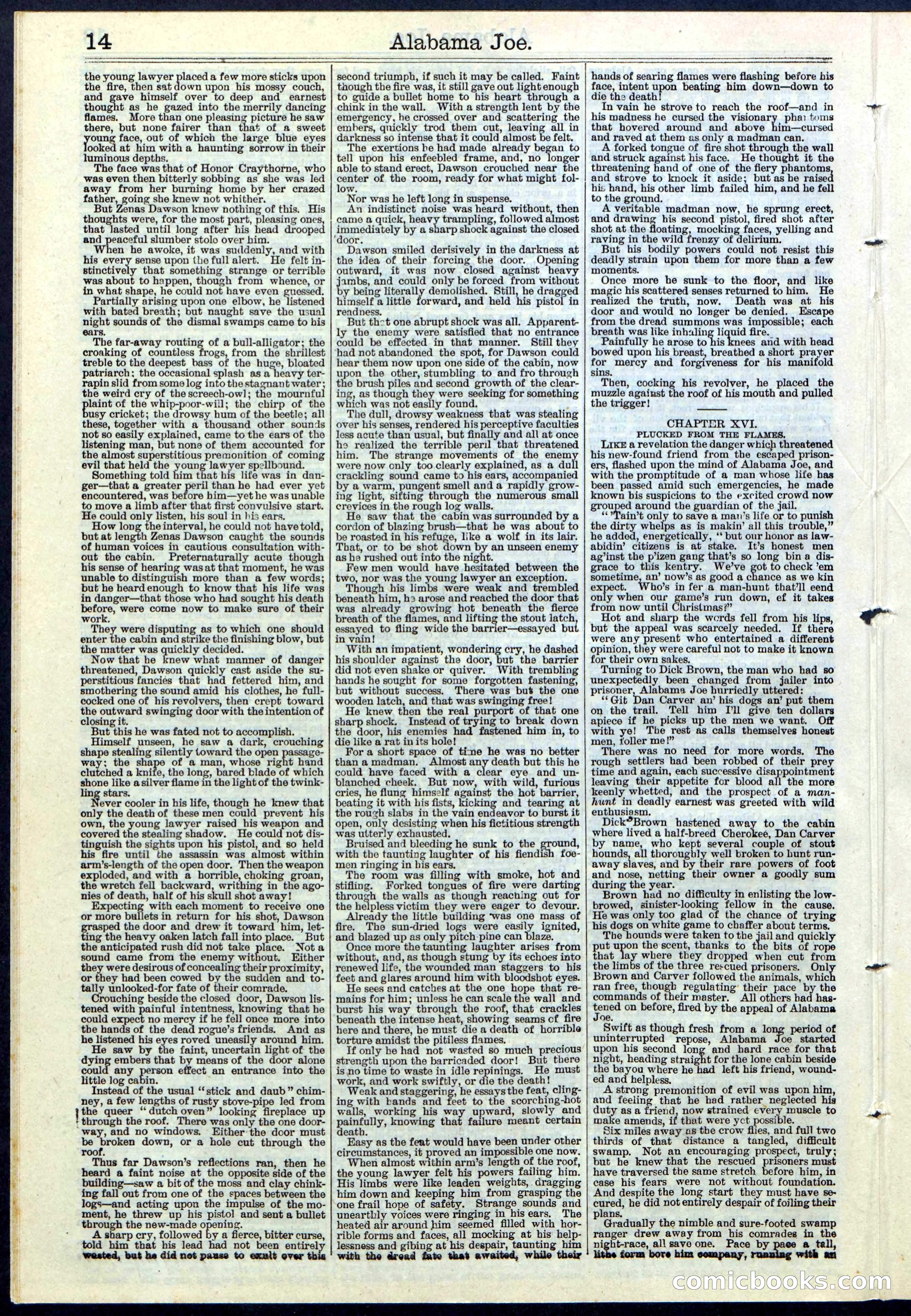 Alabama Joe; or, The Yazoo Man-Hunters — page 14 of 32