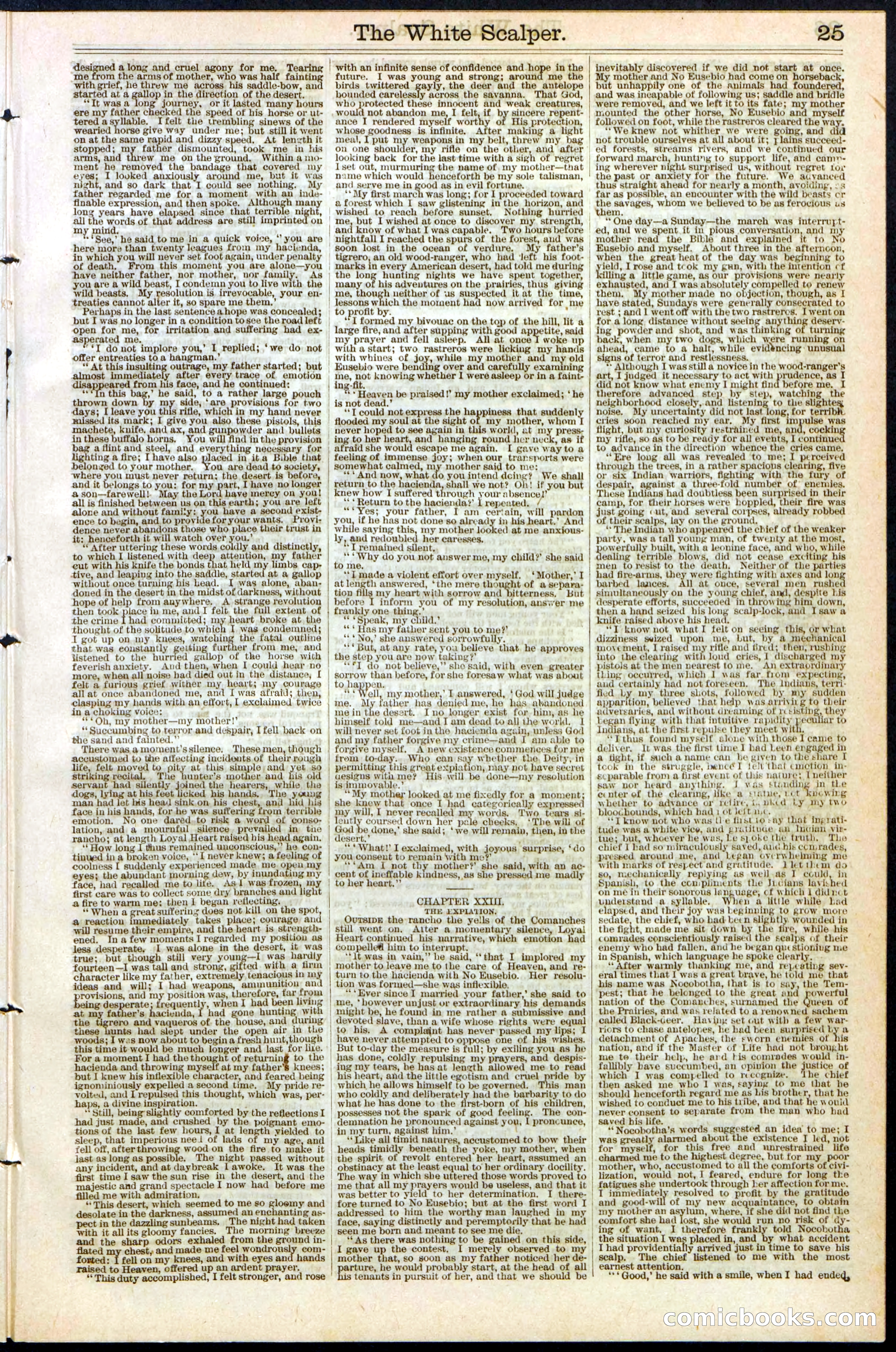 The White Scalper: A Story of the Texan War — page 25 of 32